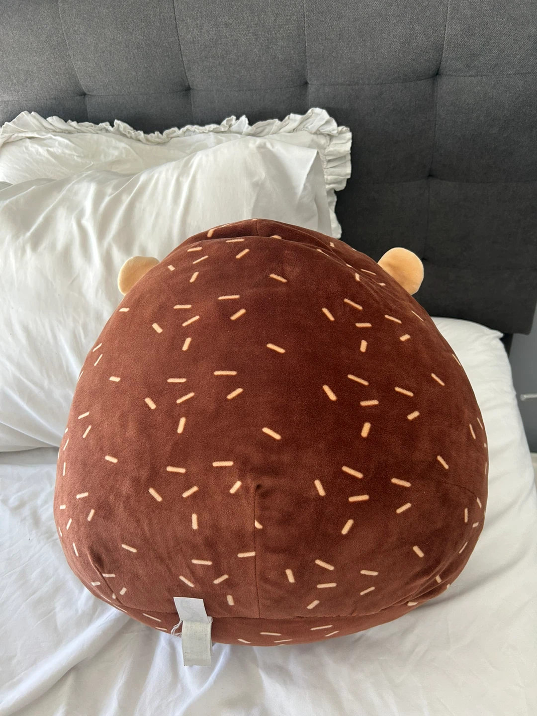 Squishmallow Hedgehog Plush Toy - photo 3