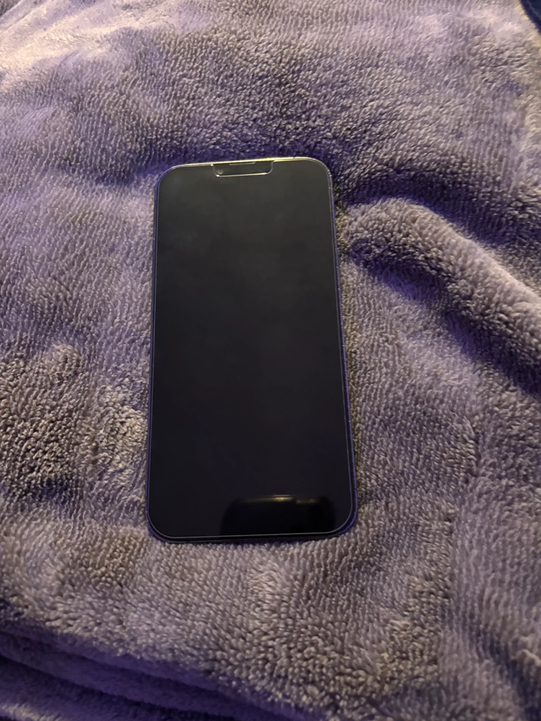 Apple iPhone 13 Pro Max - photo 2