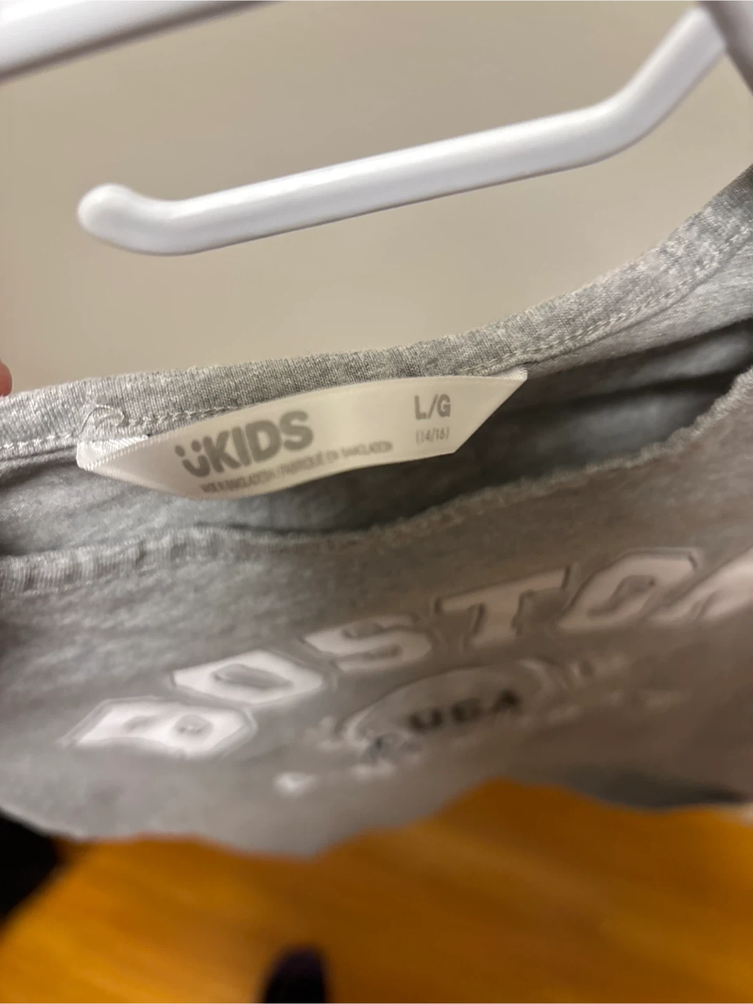 Kids Grey Boston USA Champions T-Shirt L/G - photo 3