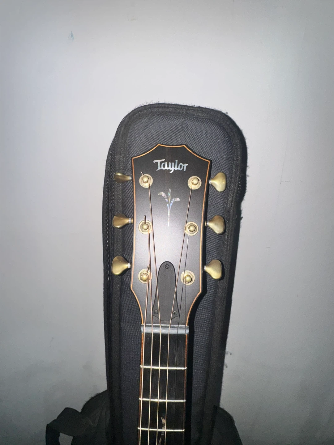 Taylor Builder's Edition K24ce Acoustic Guitar $3000 OBO - photo 3