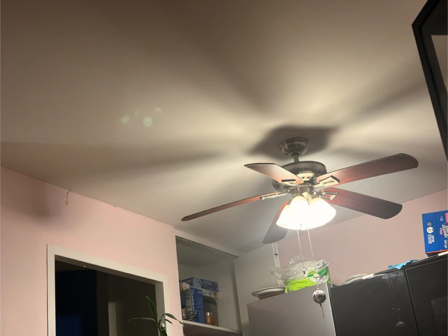 Ceiling Fan with Light - photo 2