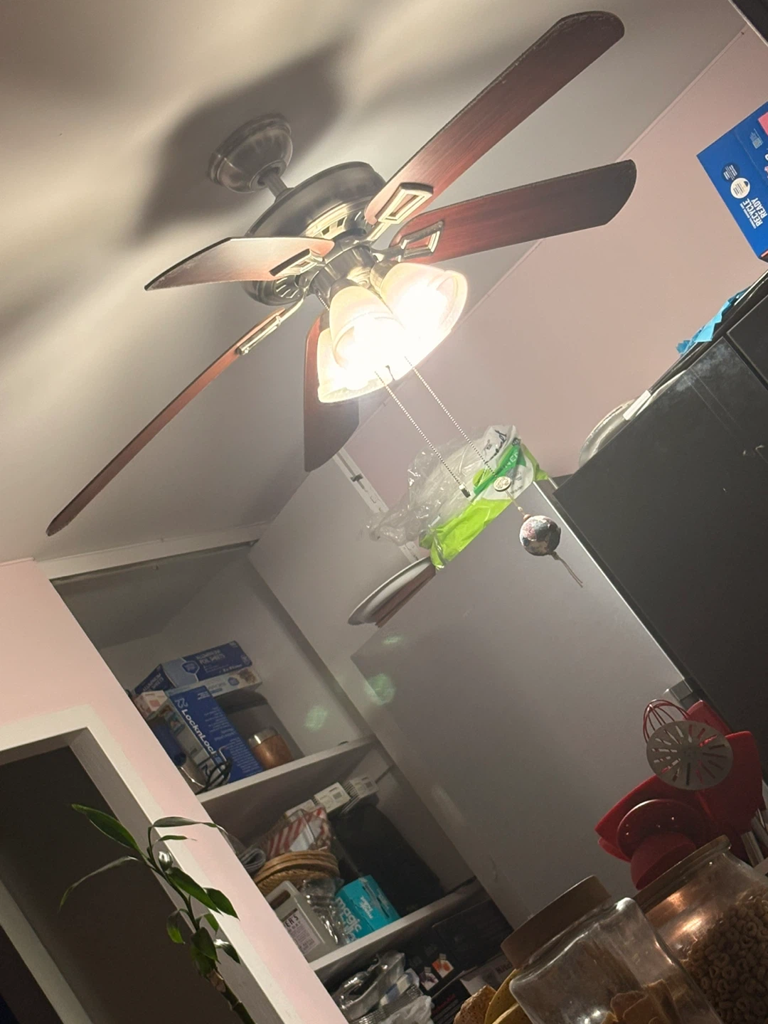 Ceiling Fan with Light