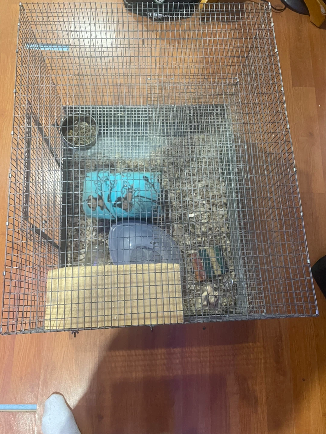 Wire Pet Cage with Accessories - photo 2