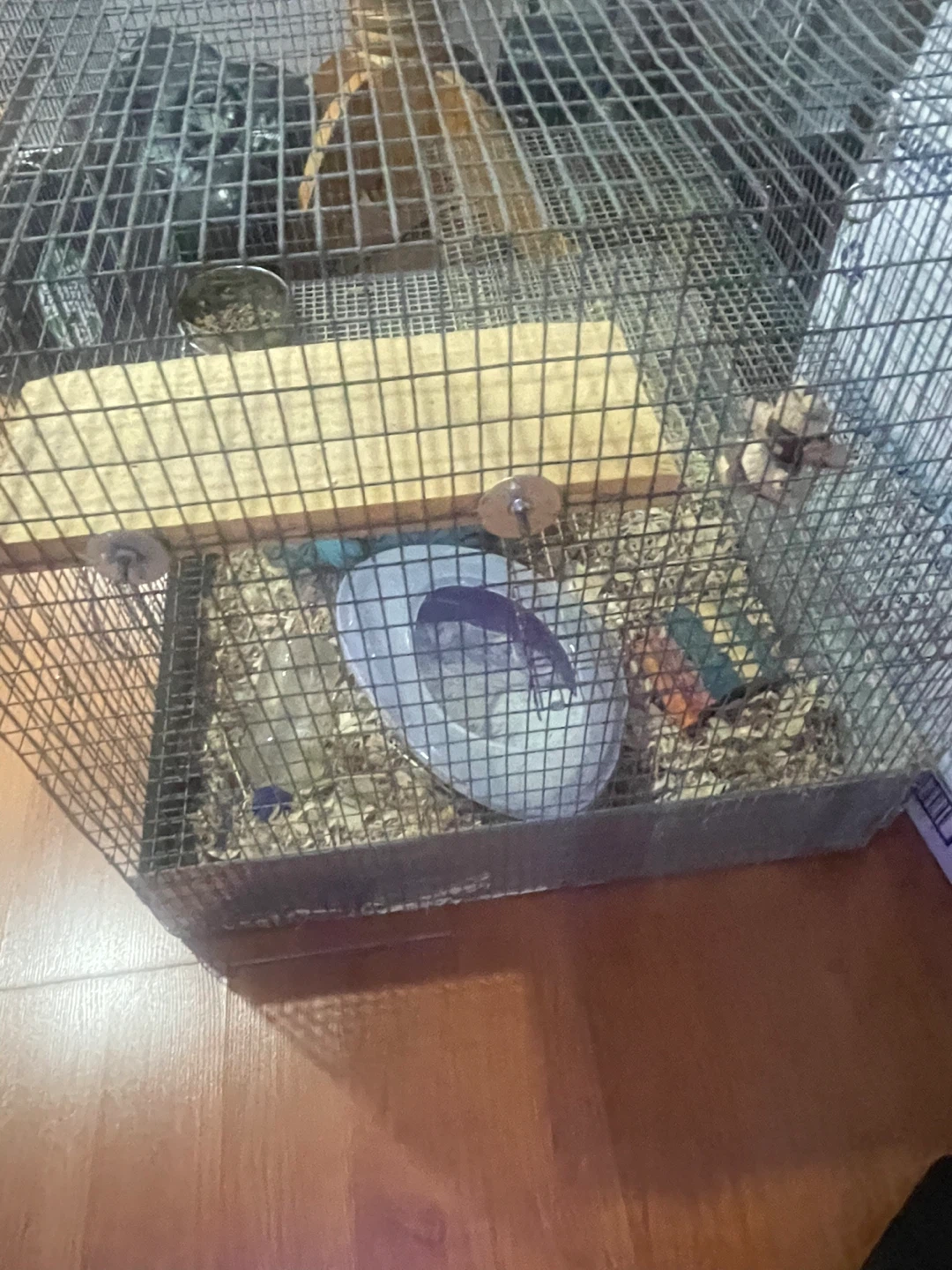 Wire Pet Cage with Accessories - photo 5