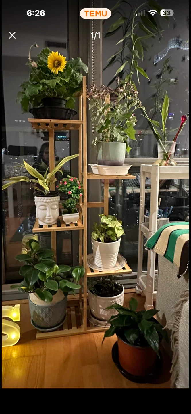 Wooden Multilayer Plant Stand
