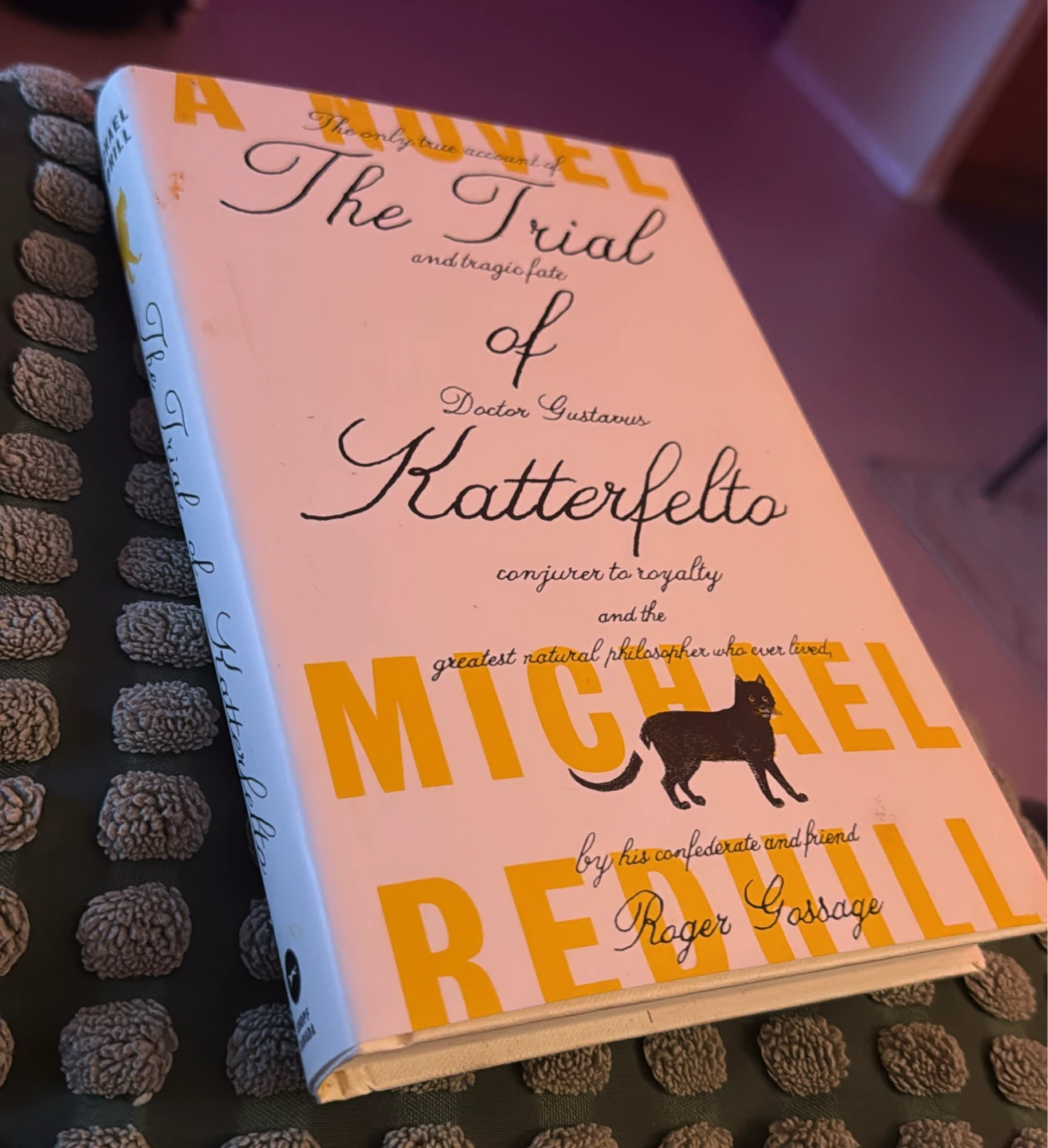 The Trial of Katterfelto Book by Michel Faber