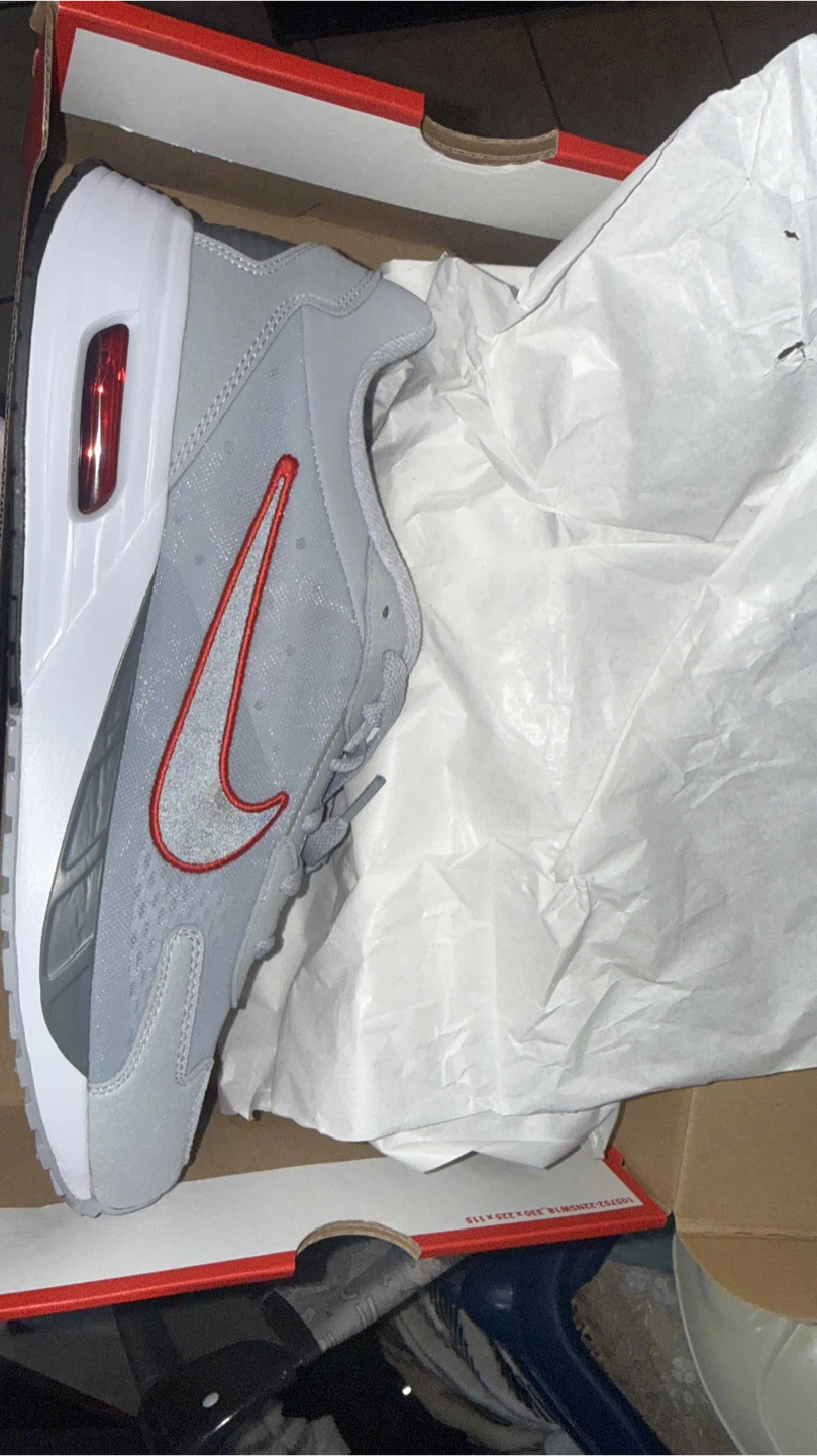 Nike Air Max Shoes