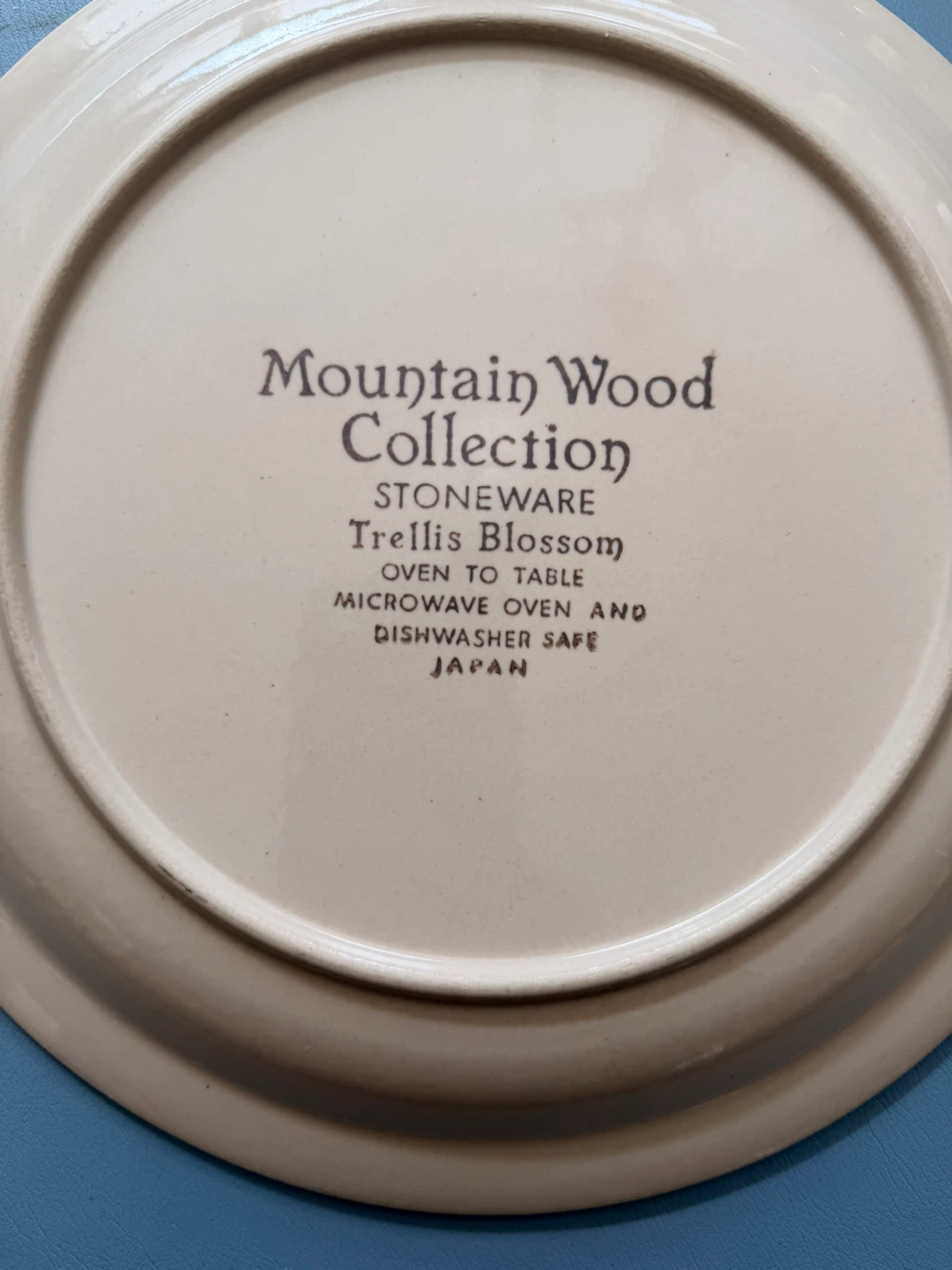 Mountain Wood Collection Trellis Blossom Stoneware Plate - photo 2
