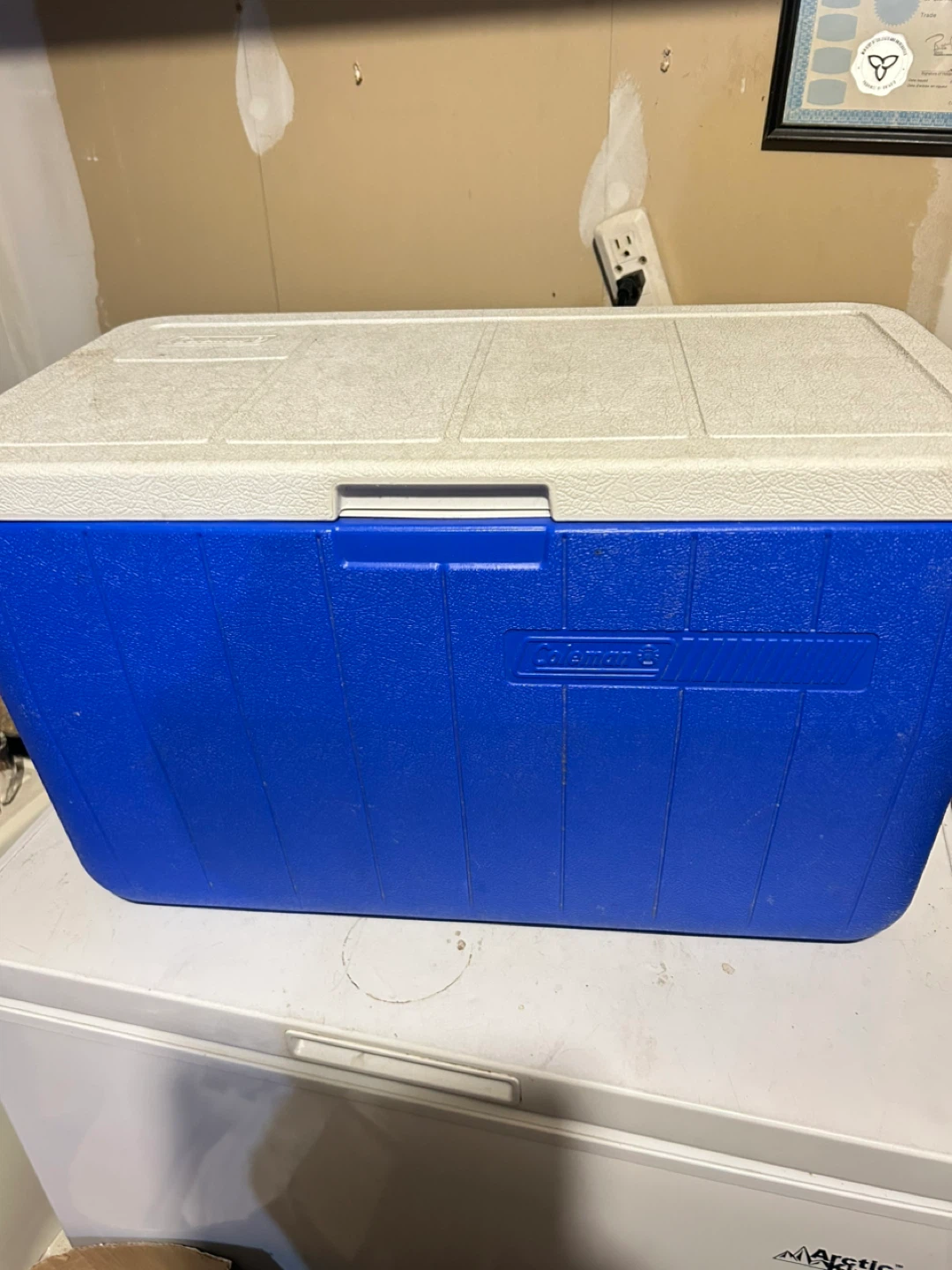 Coleman Cooler