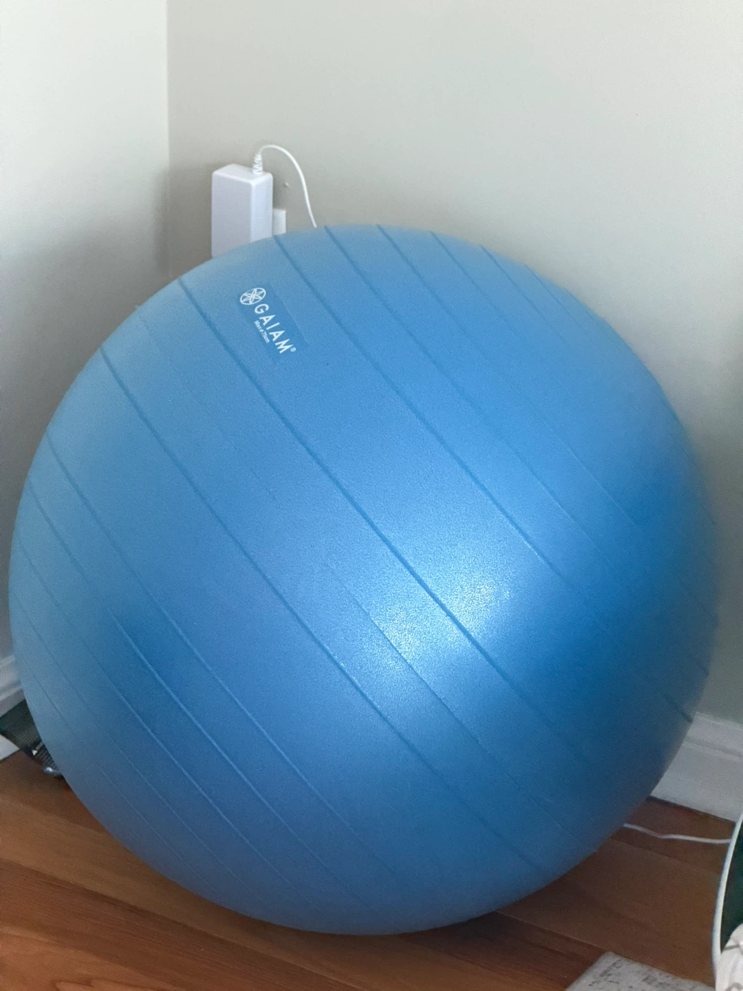 Gaiam Blue Exercise Ball