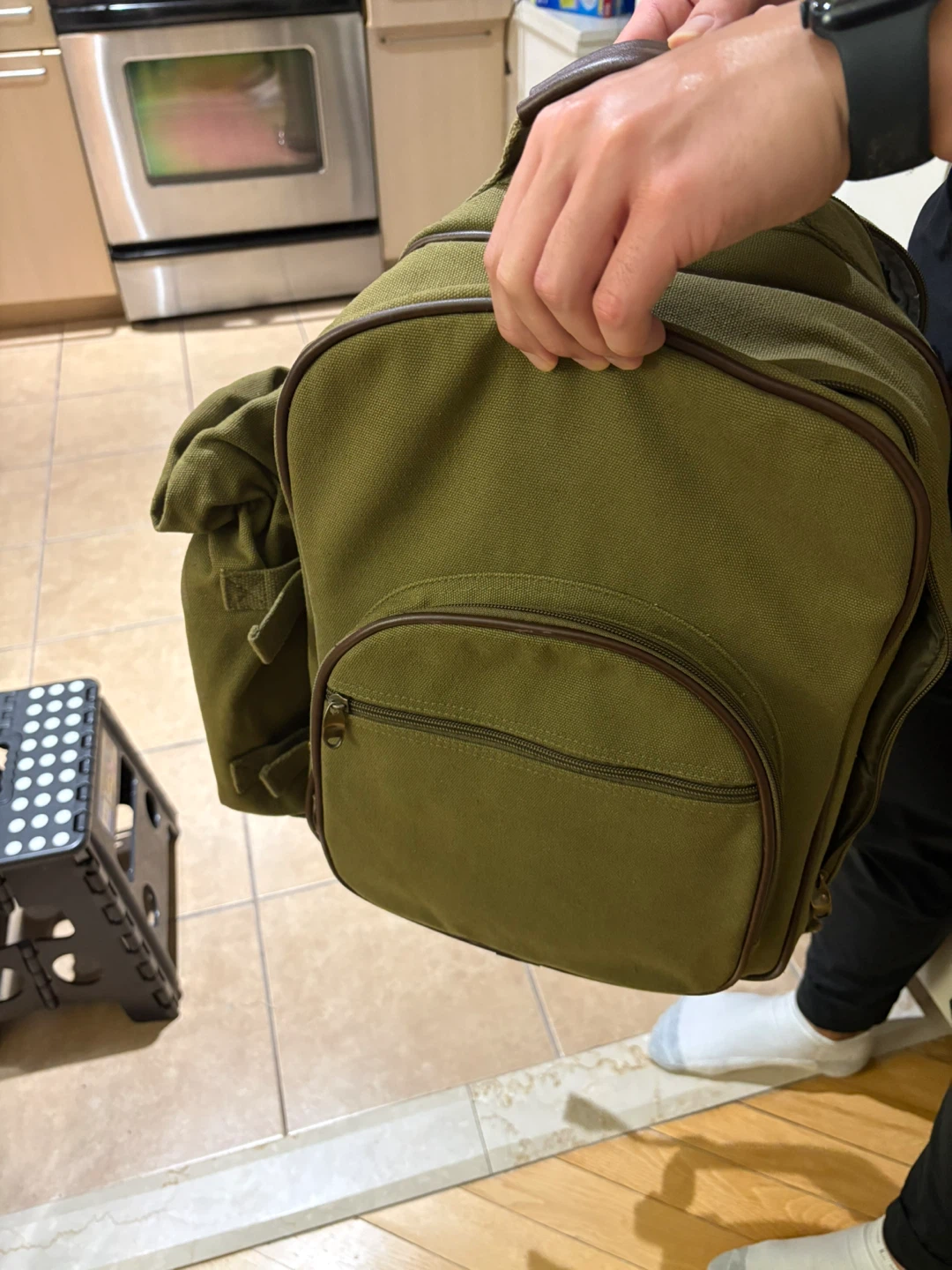 Brand New Green Insulated Picnic Backpack