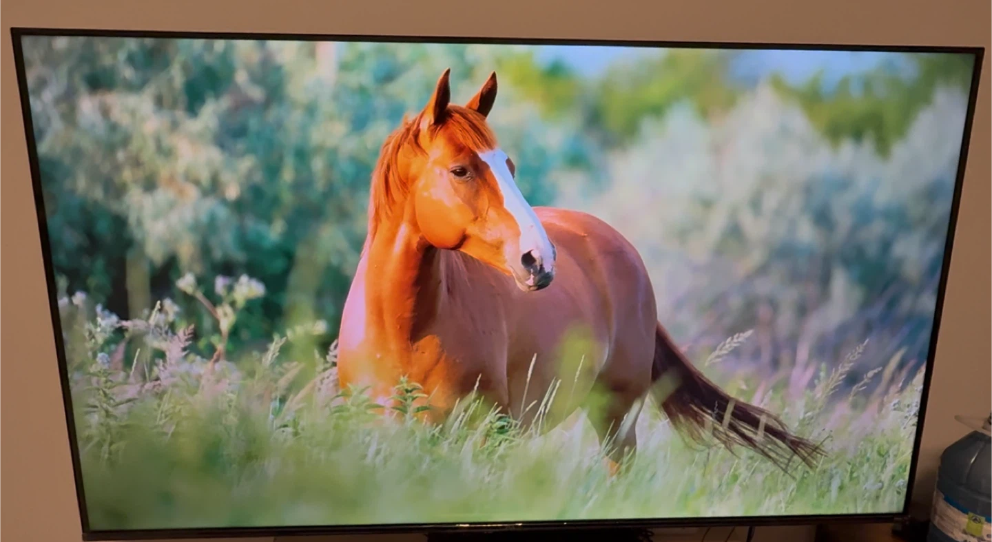 MOVING OUT SALE – 55” TCL 4K QLED Roku Smart TV! - photo 3