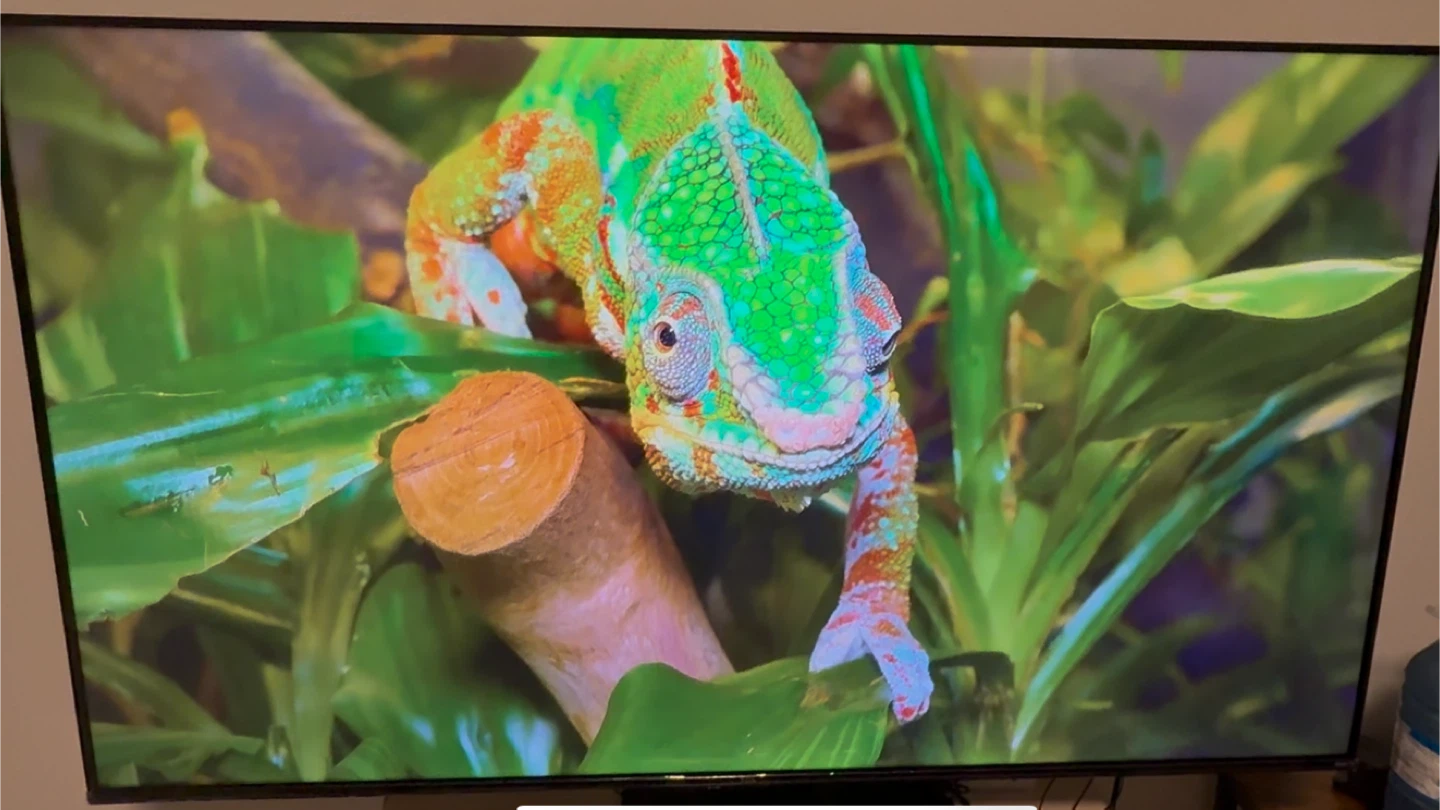 MOVING OUT SALE – 55” TCL 4K QLED Roku Smart TV! - photo 4