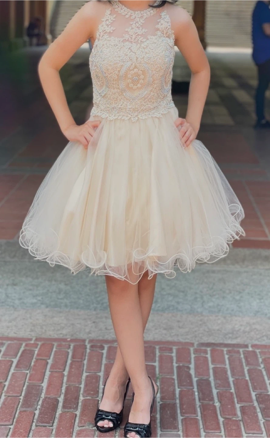 NOX Anabel Beaded Tulle Dress