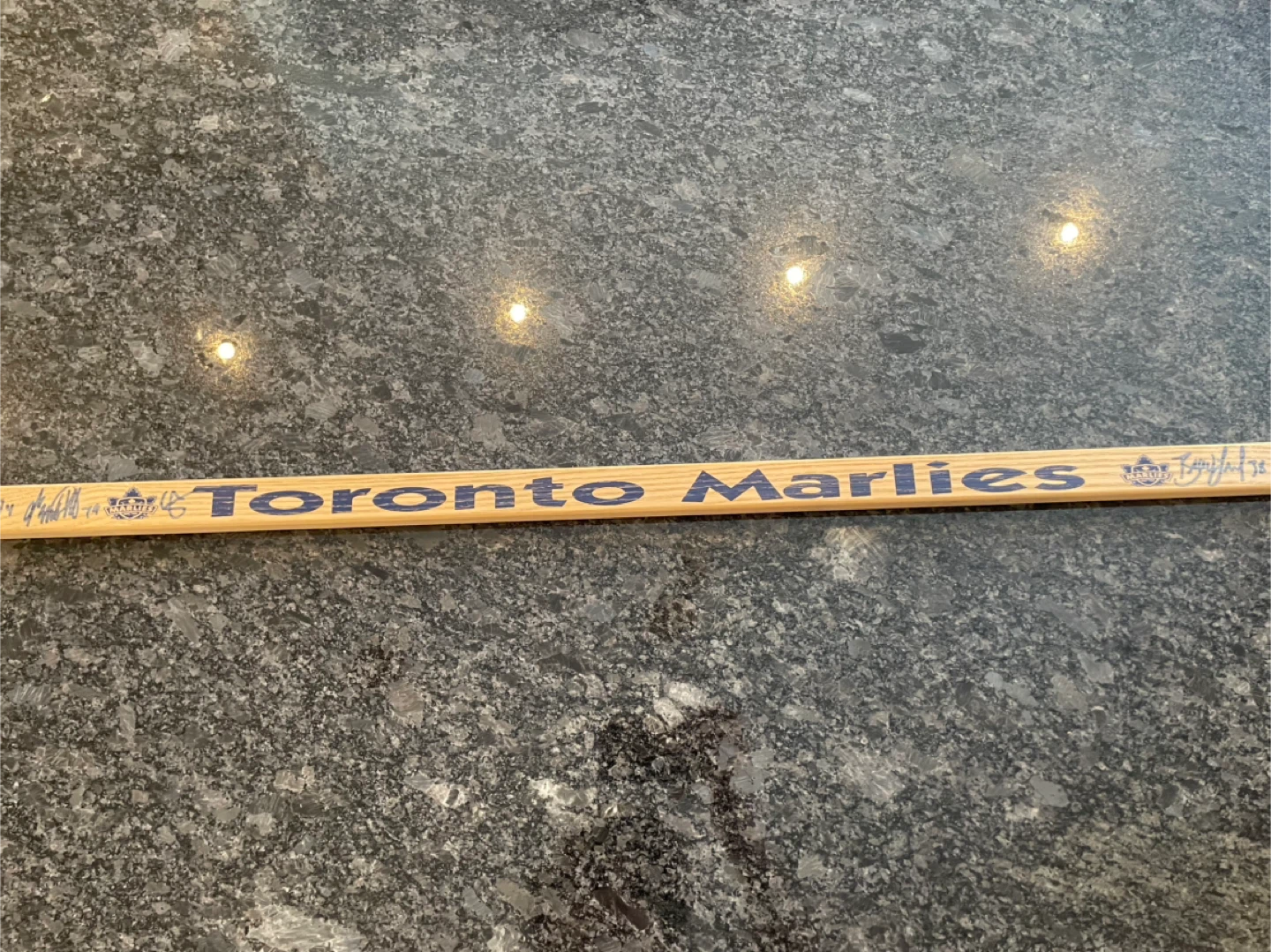 Toronto Marlies 2005-2006 Inaugural Season Signed Hockey Stick - photo 5