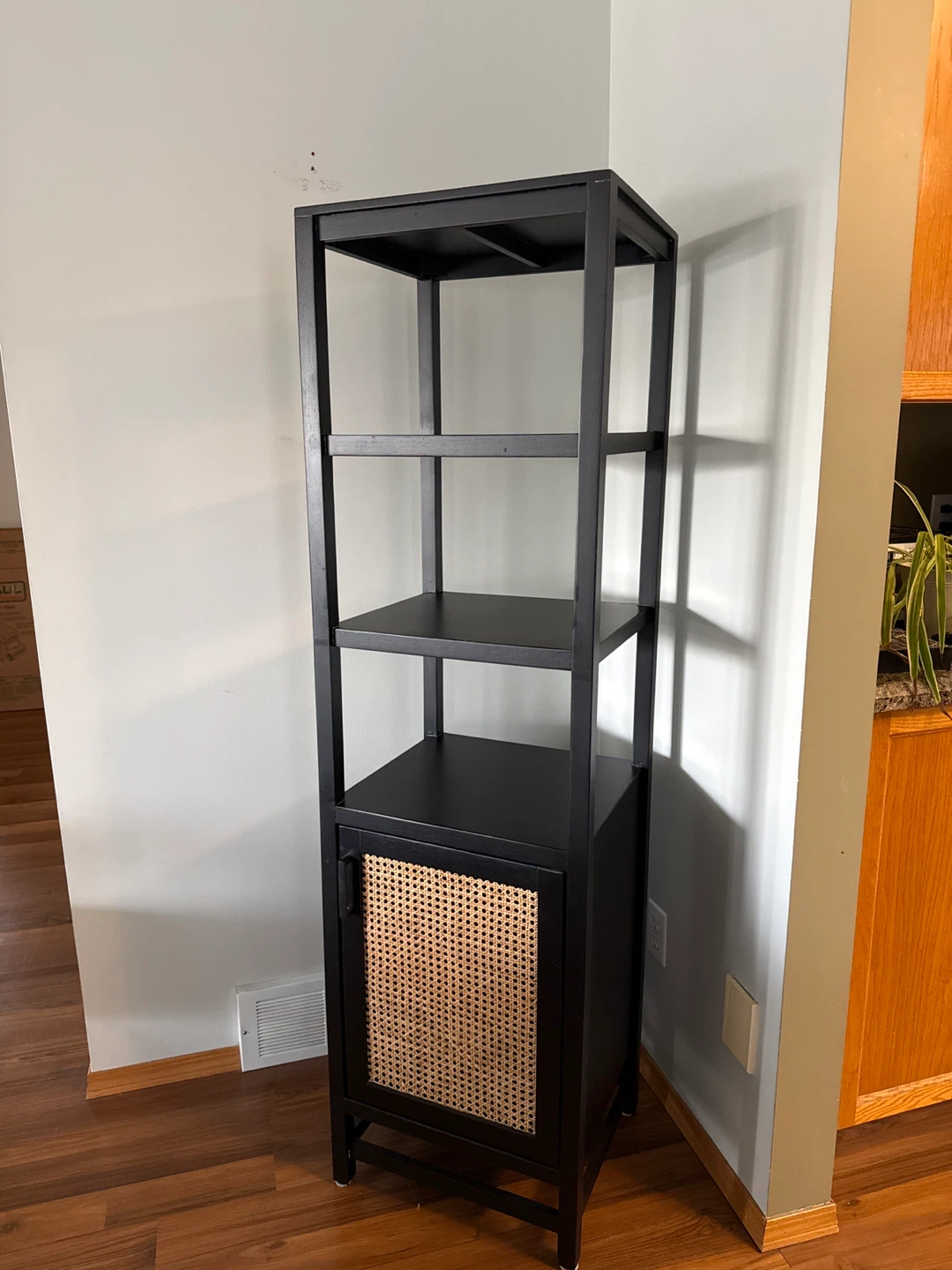 Black wood Shelf with Cane Door Cabinet