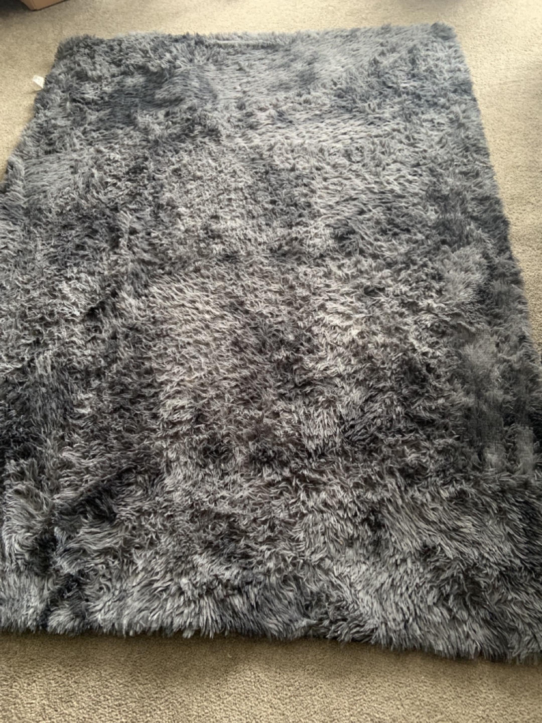 Grey Shaggy Area Rug