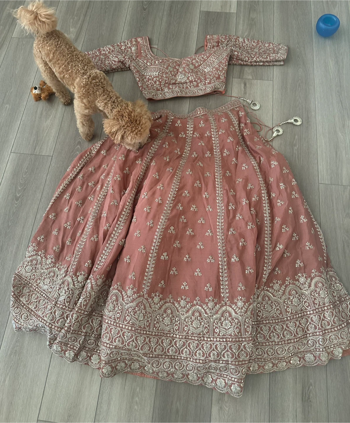 Women's Embroidered Lehenga Choli Set