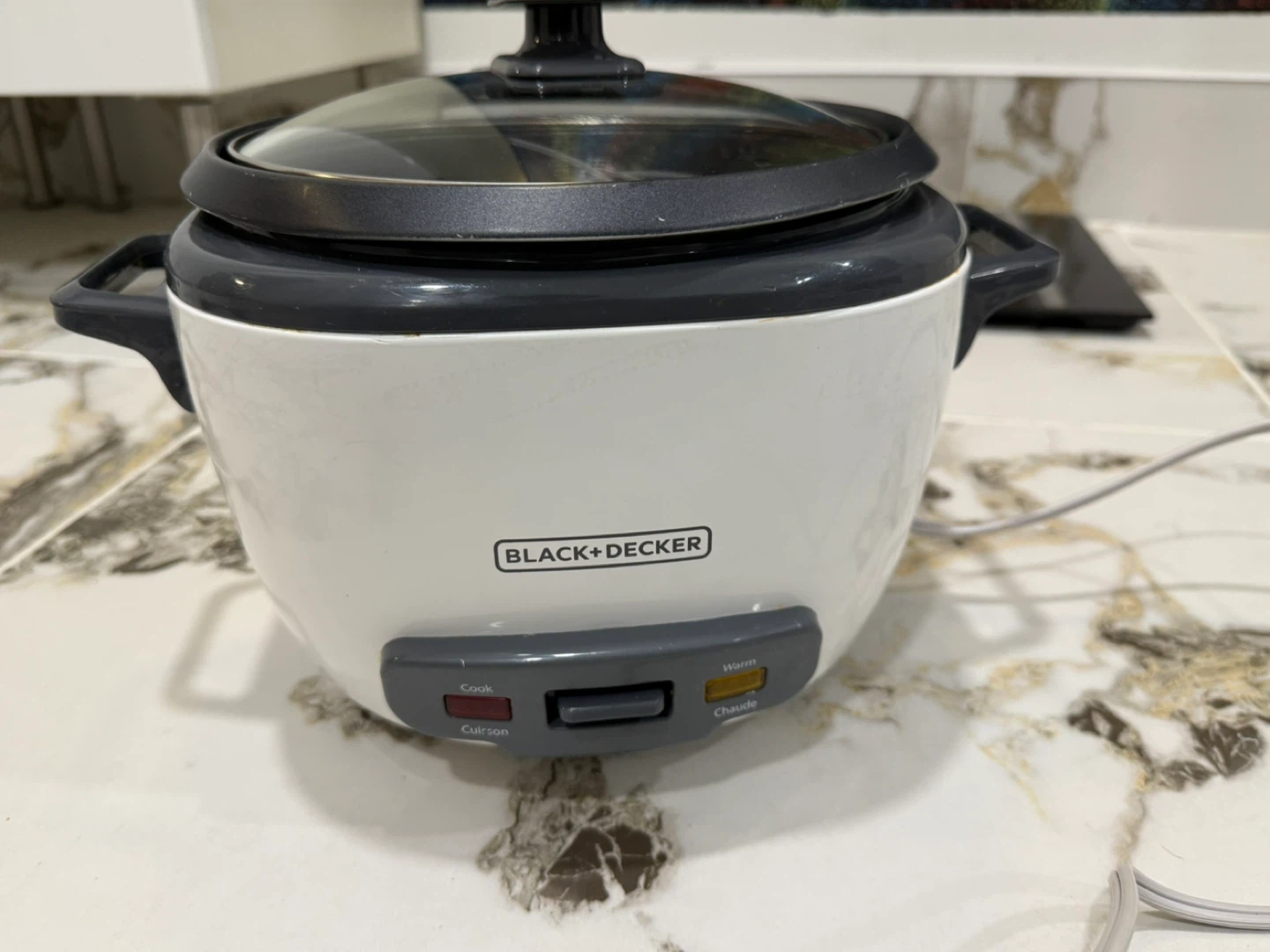 🍚 MOVING OUT SALE – BLACK+DECKER Rice Cooker (16 Cup) - photo 2