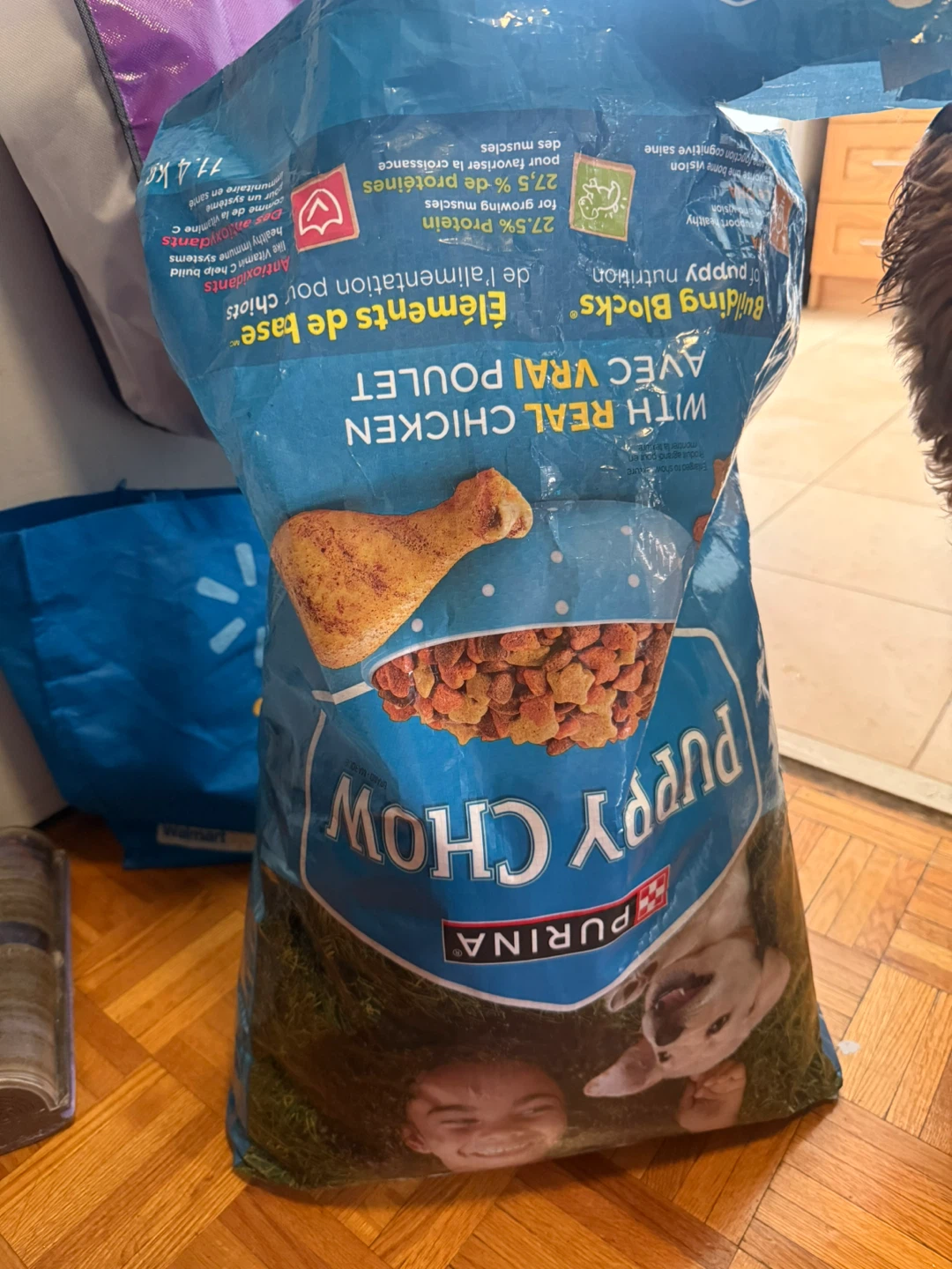 Purina Puppy Chow with Real Chicken Dog Food