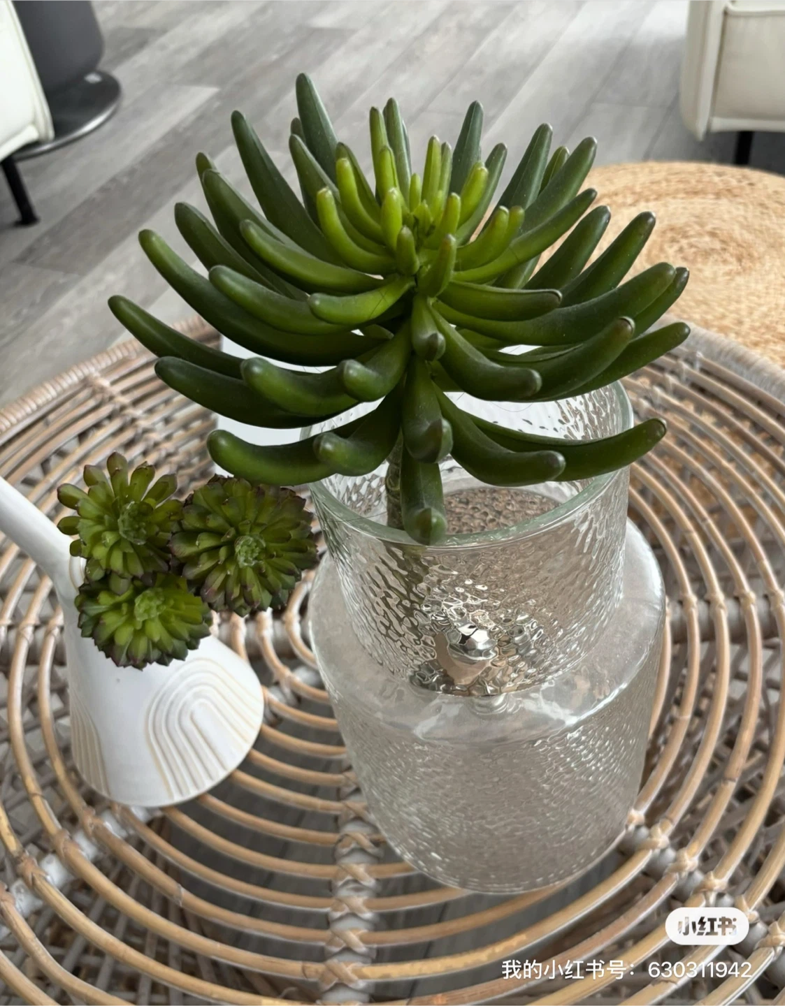 Artificial Succulent Plant in Glass Vase