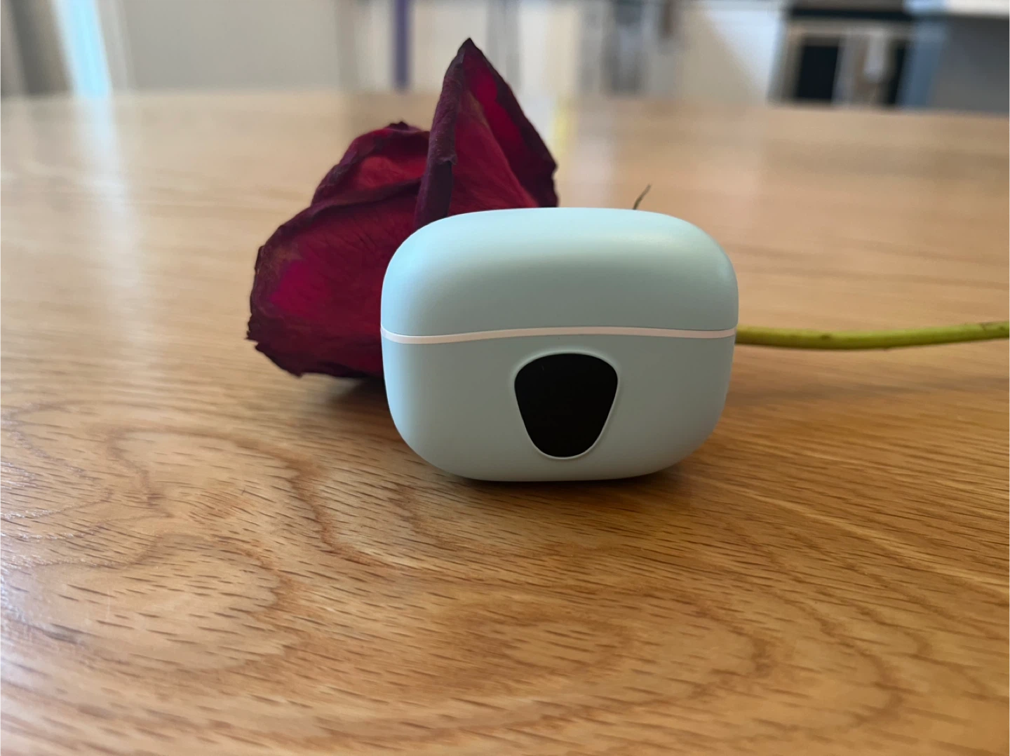 BESNOW i53 True Wireless Earbuds