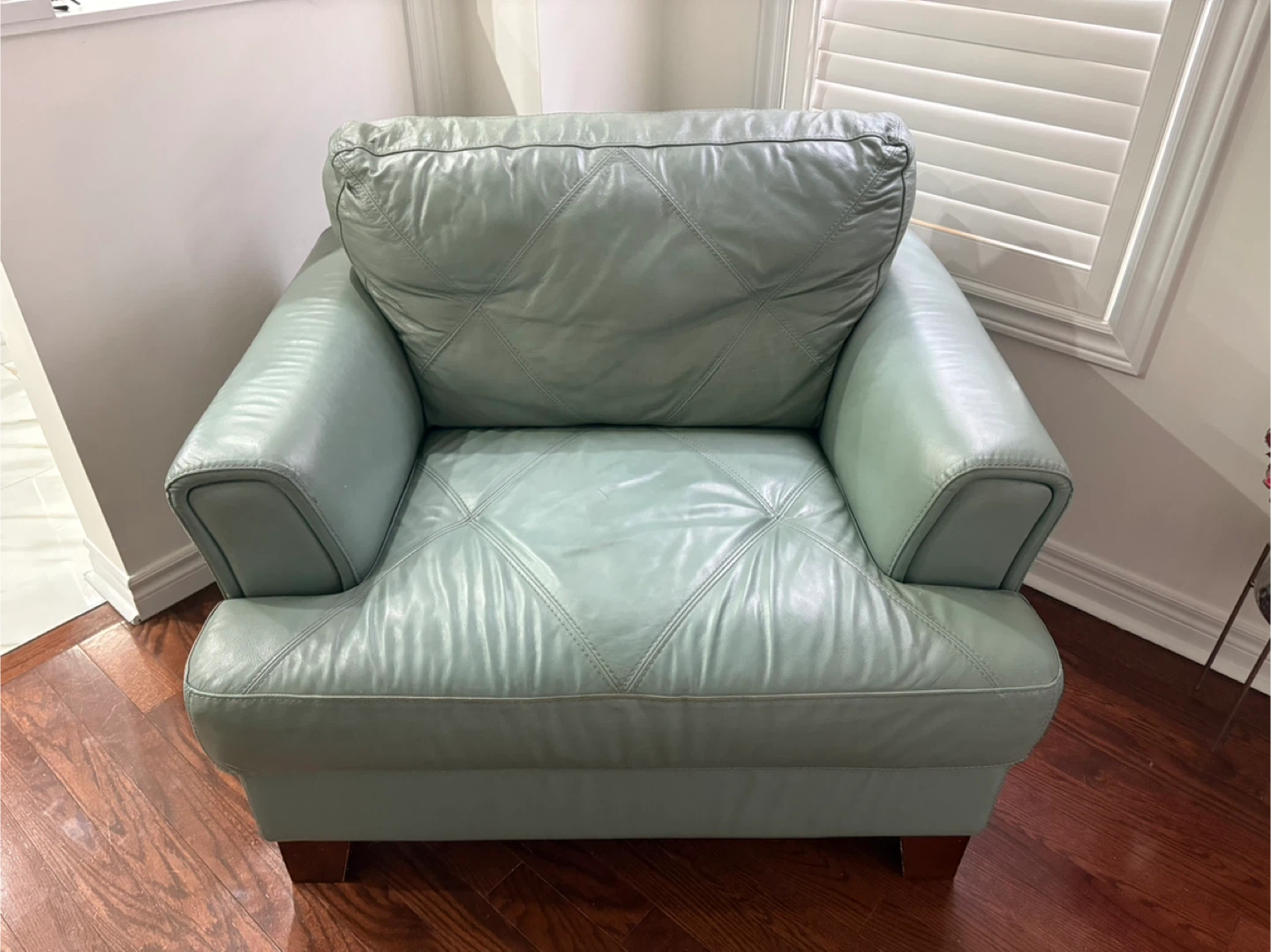 Light pistachio Leather 3pc set - photo 3