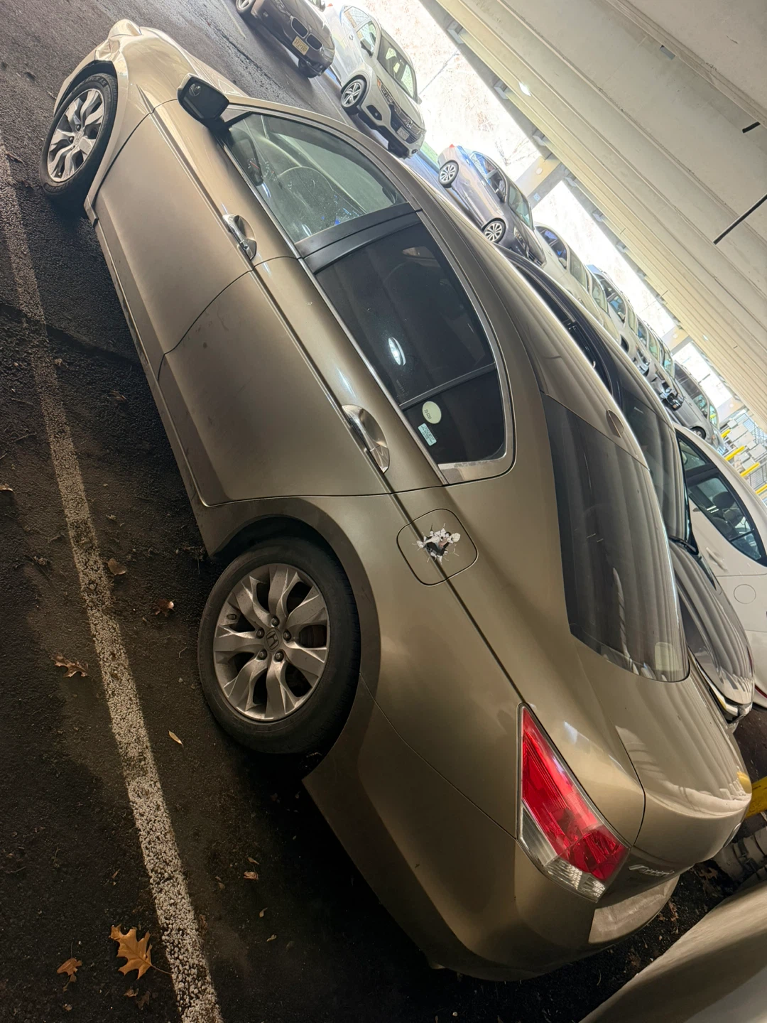 Gold Honda Accord Sedan - photo 2