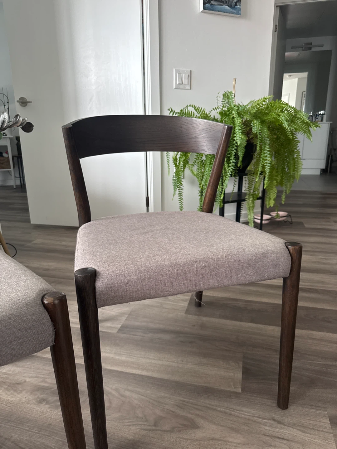 Set of 2 Mid-Century Modern Dining Chairs