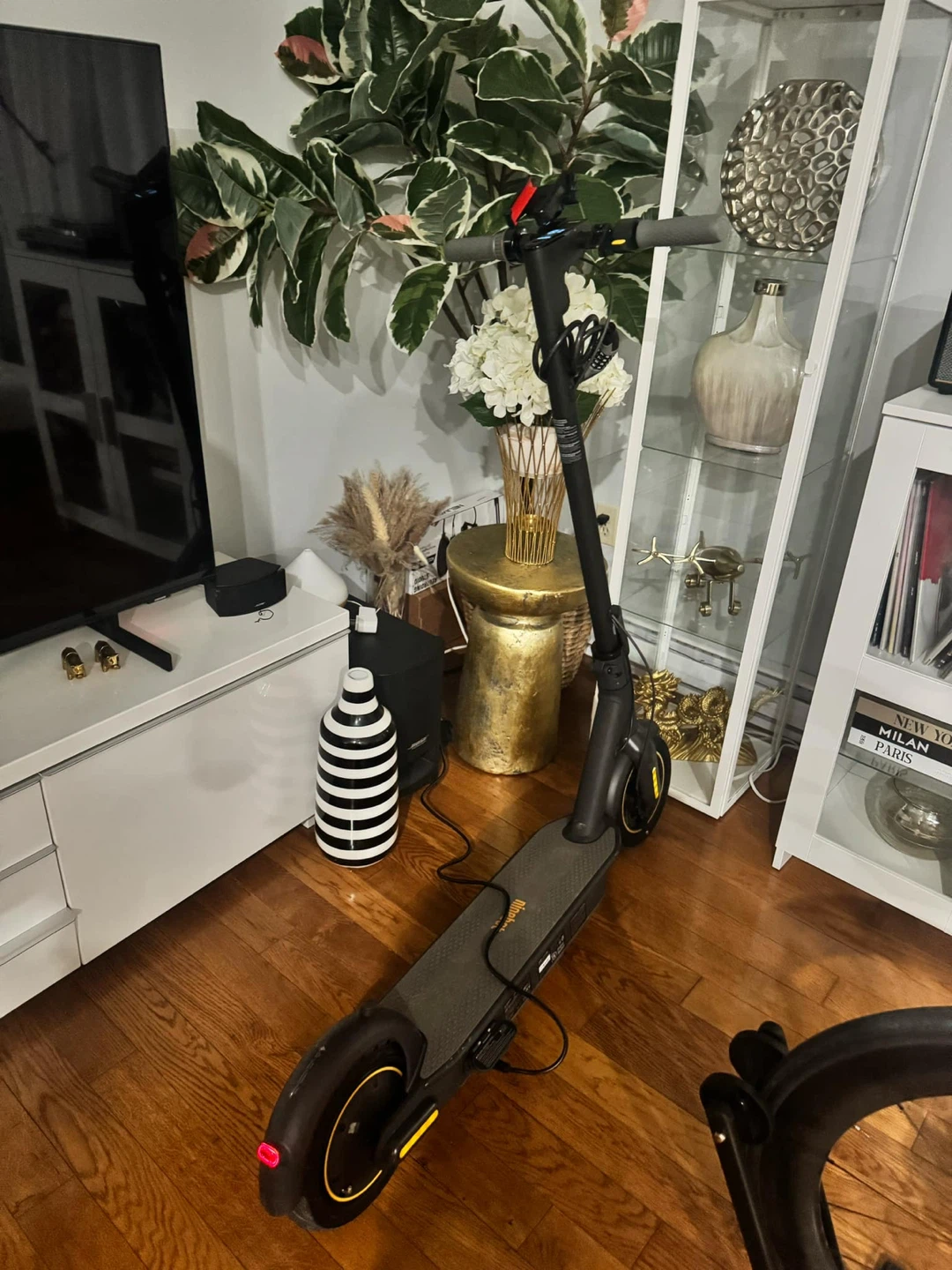 Ninebot KickScooter MAX gp30