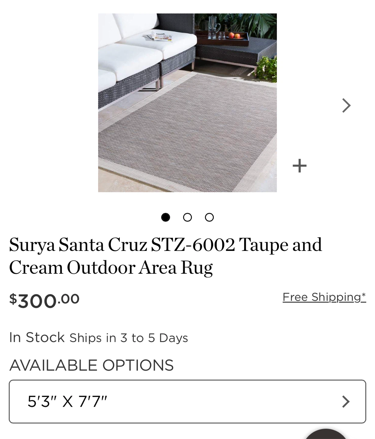 Indoor/Outdoor Area Rug 5'3" x 7'7" - photo 4