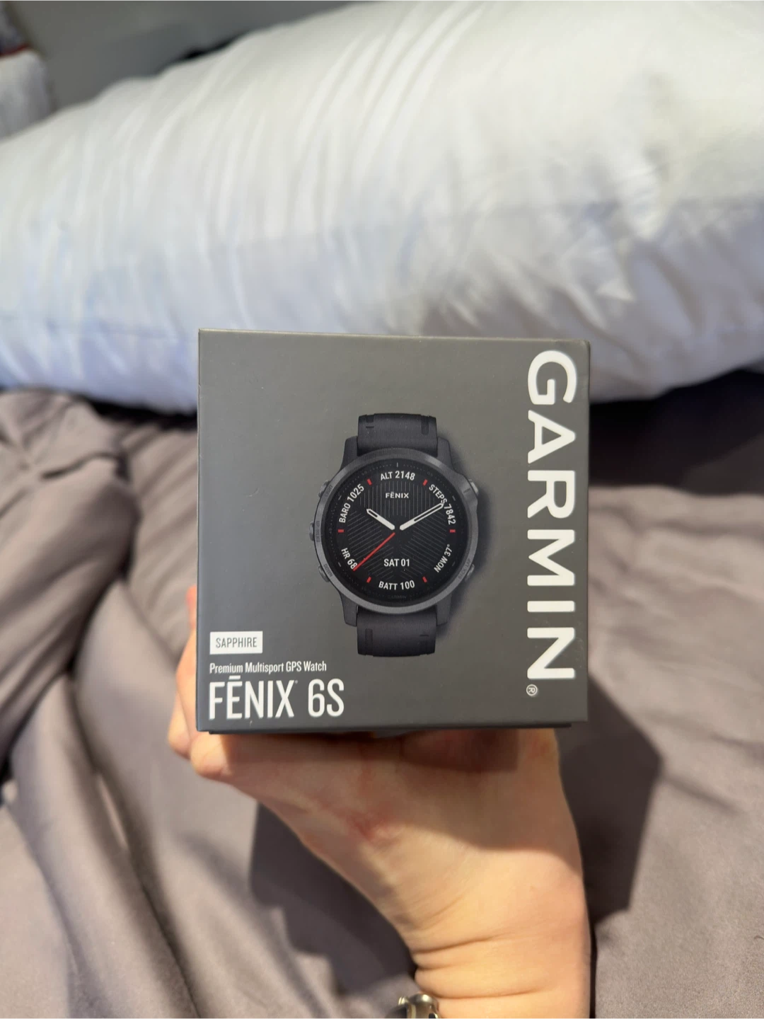 Garmin Fenix 6S Sapphire