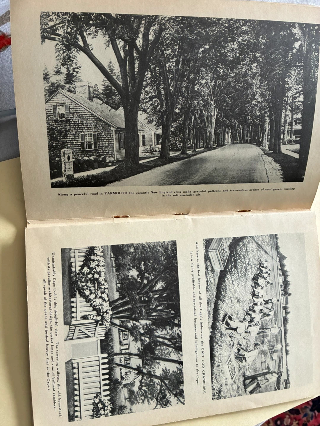 Vintage 1940s Cape Code Illustrated Tichnor travel guide USA - photo 3