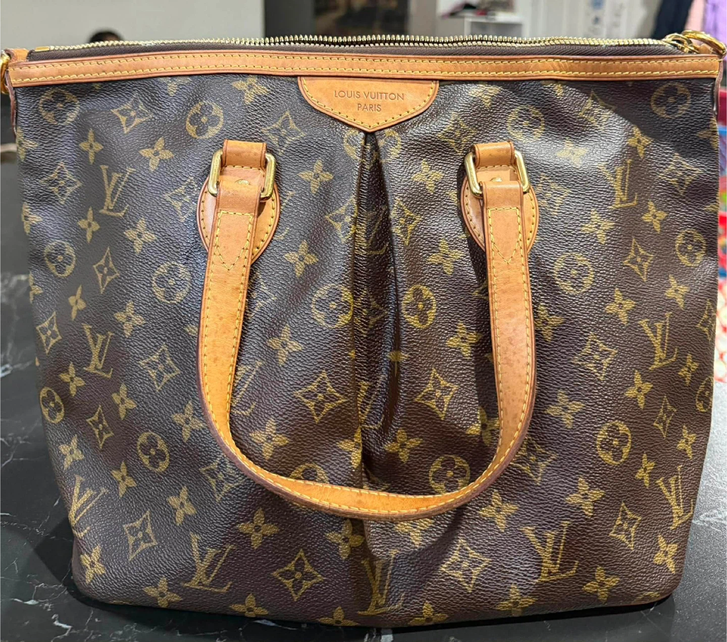 Louis Vuitton Monogram Canvas Speedy Bag