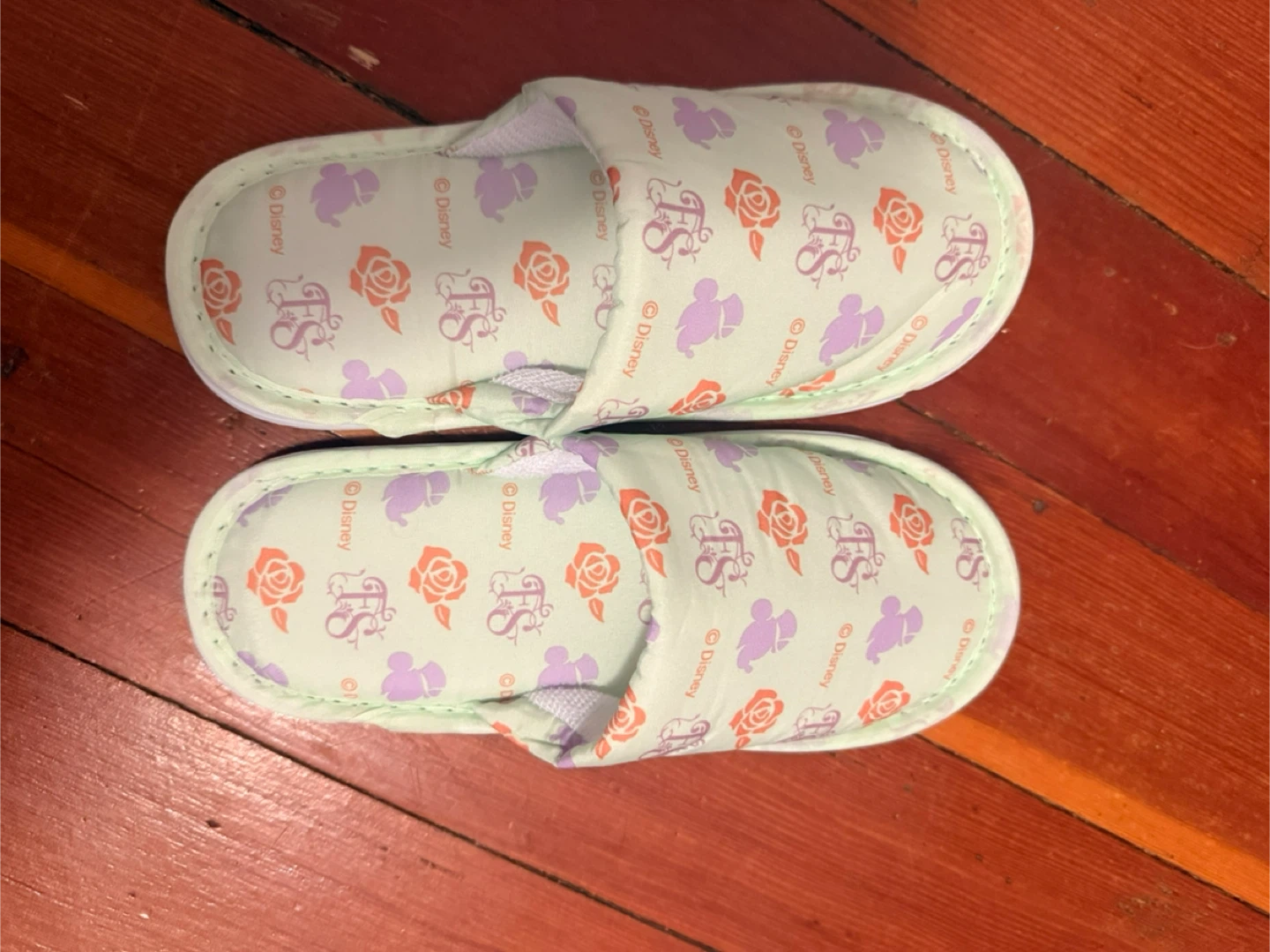 Children’s Slippers from Disney’s Fantasy Springs Hotel in Tokyo