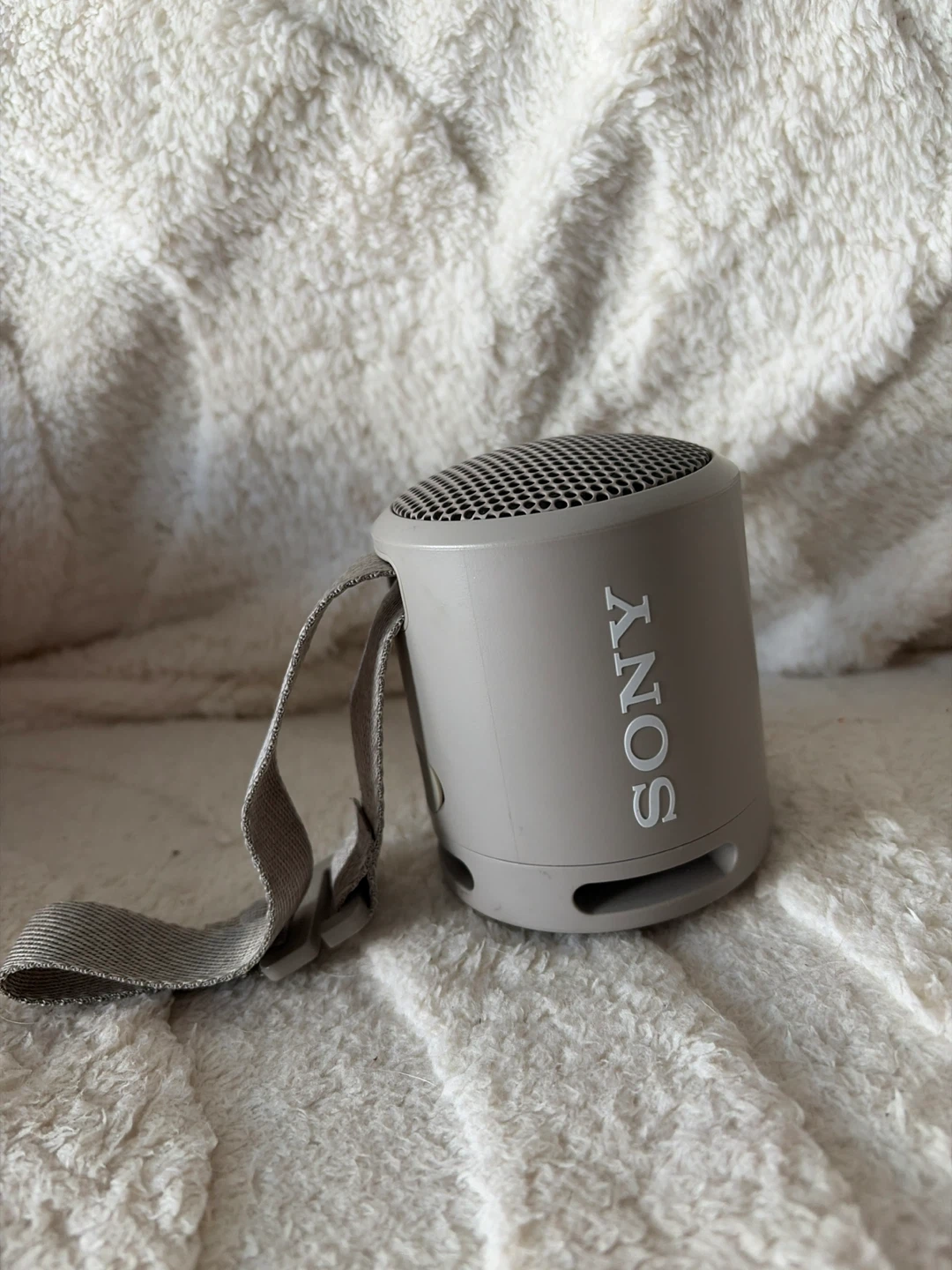 Sony Portable Bluetooth Speaker - Gray
