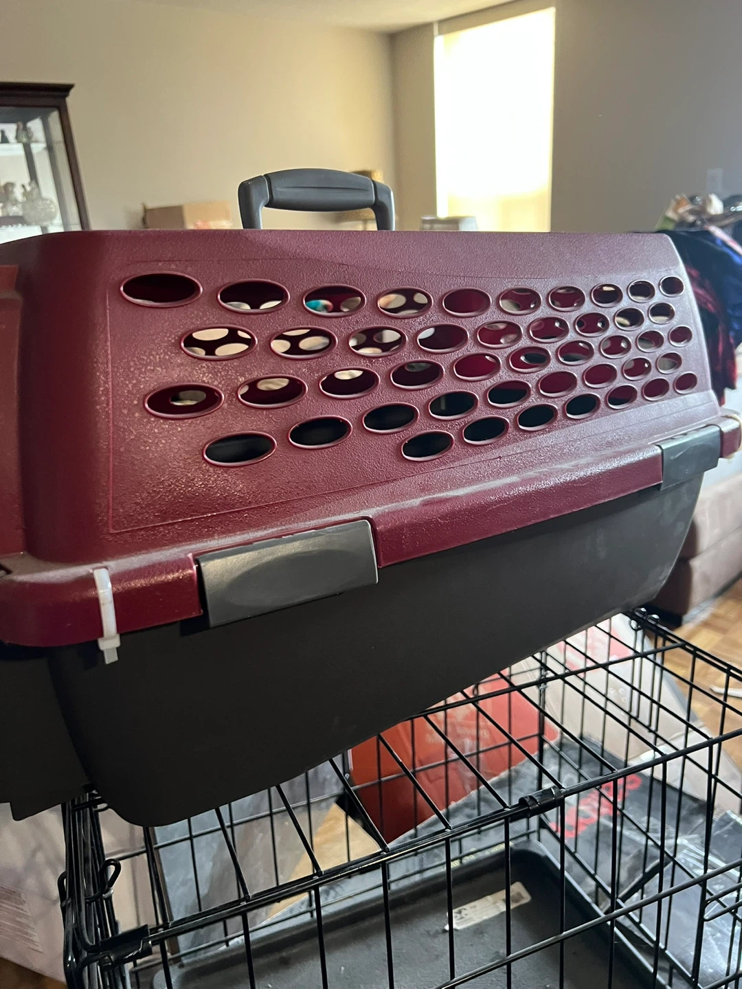 Pet Carrier Crate - photo 2