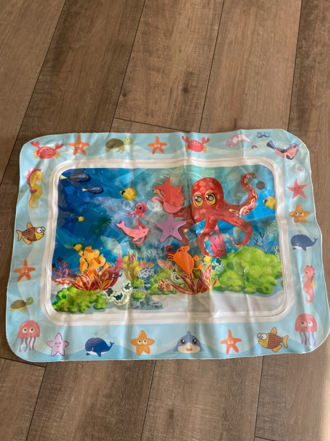 Inflatable Water Play Mat