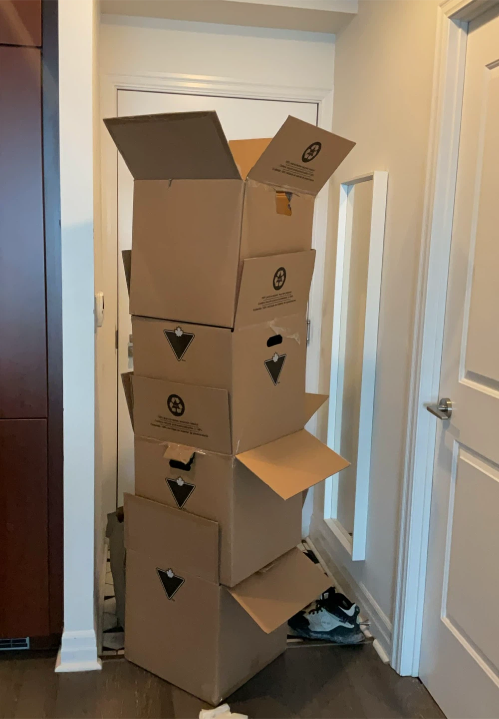 Canadian Tire Medium Moving Boxes - Bundle of 8
