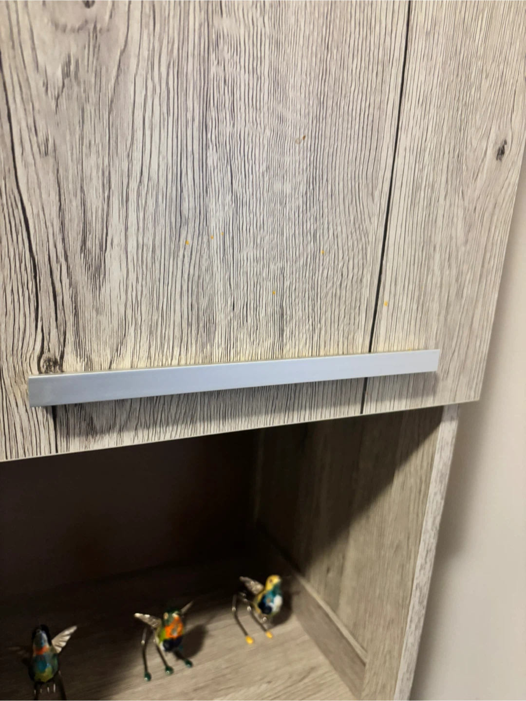 Tall Storage Cabinet with Shelves and Doors - photo 3