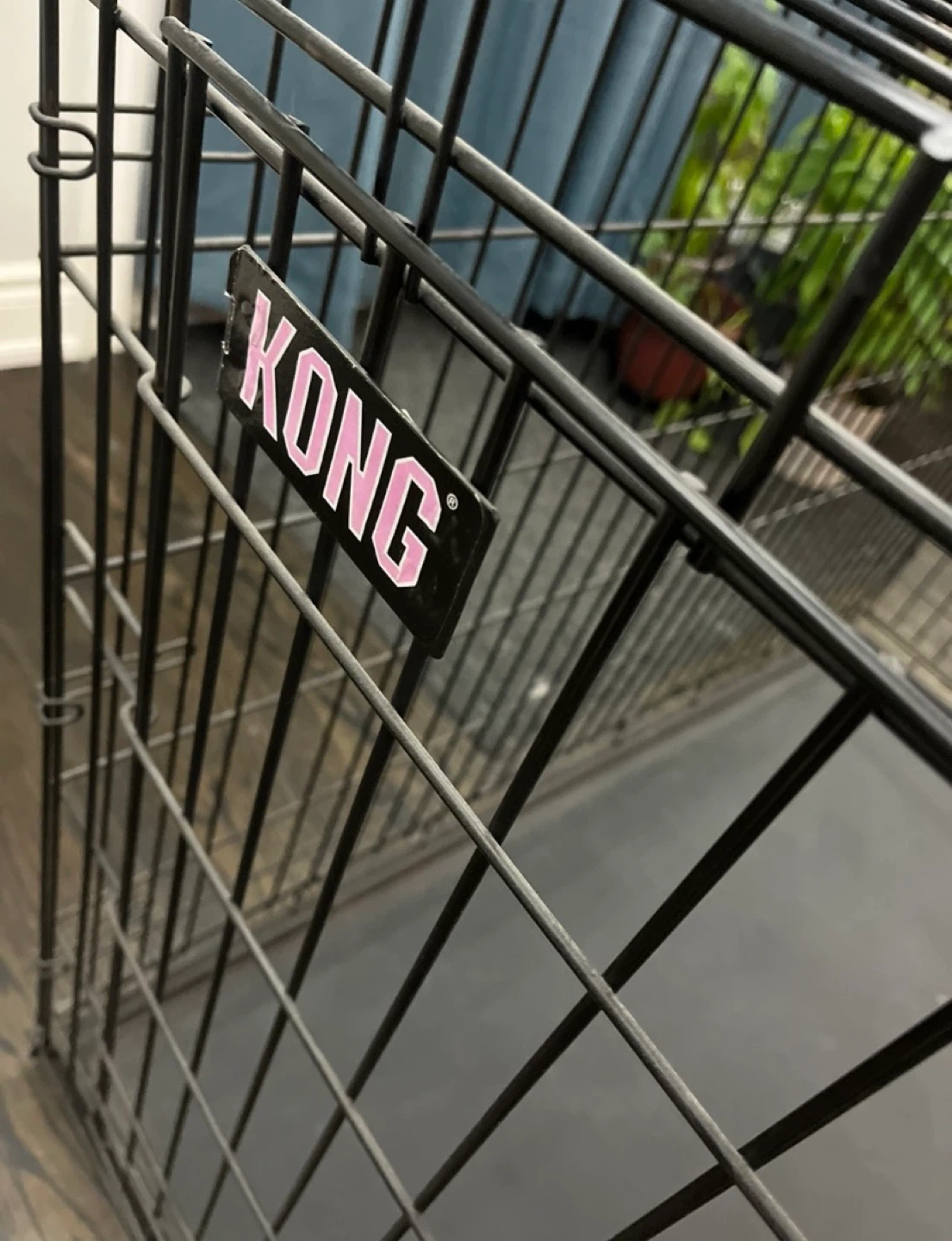 KONG Dog Crate