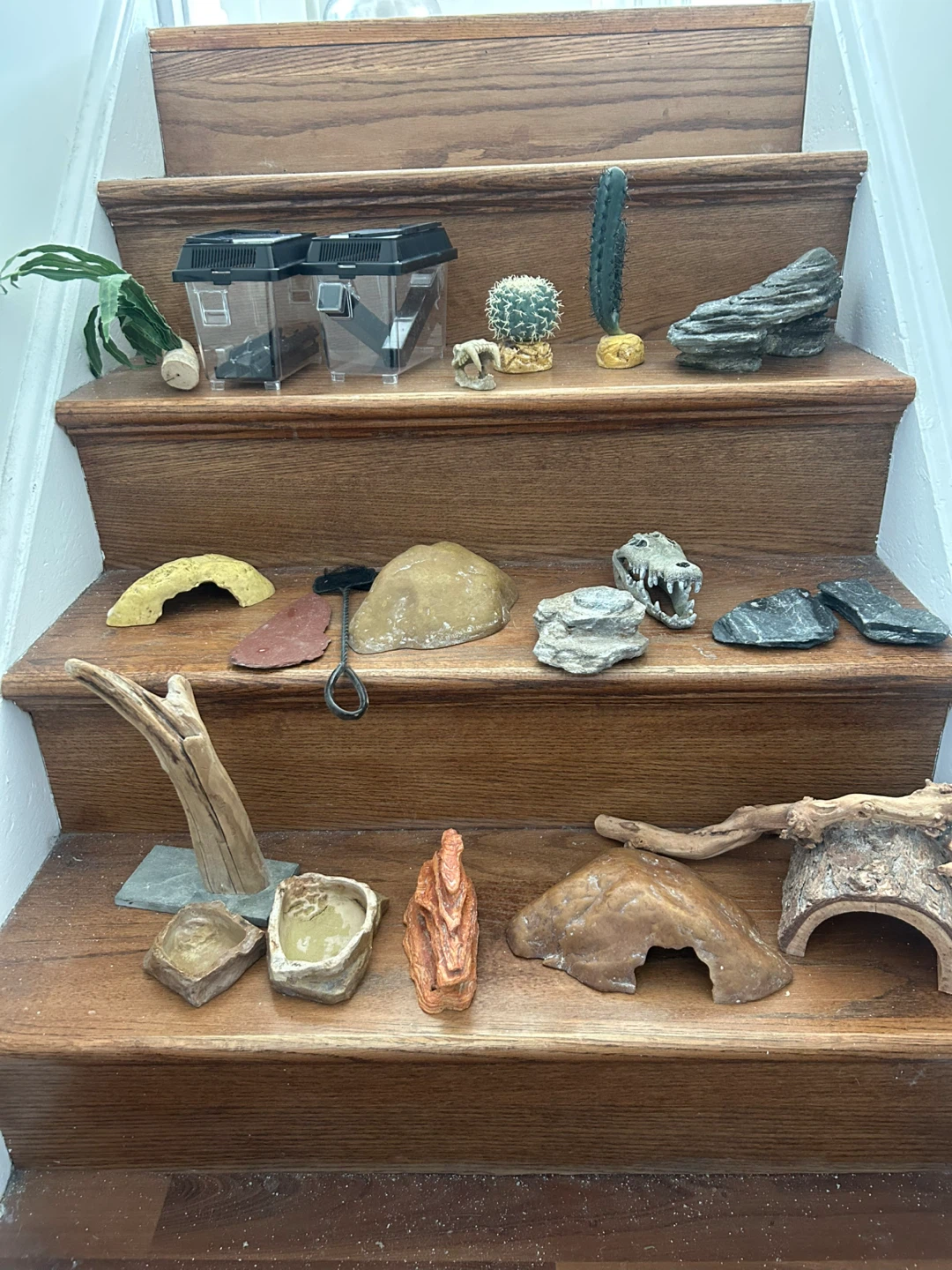 Reptile terrarium with accessories - photo 2