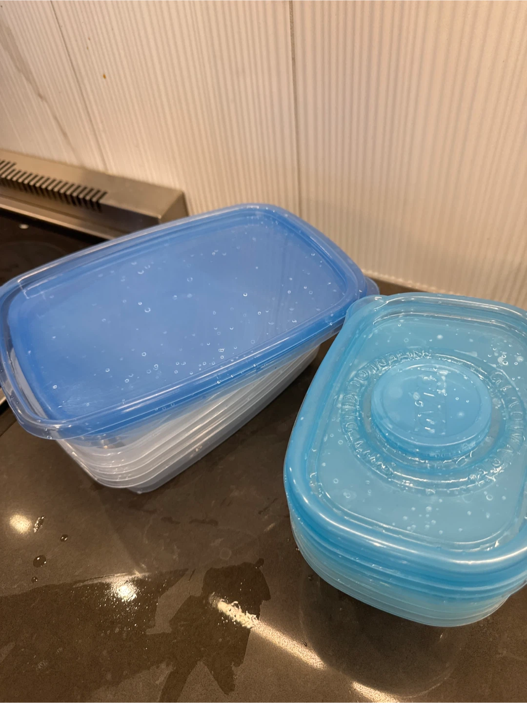 Stackable Food Storage Containers with Blue Lids