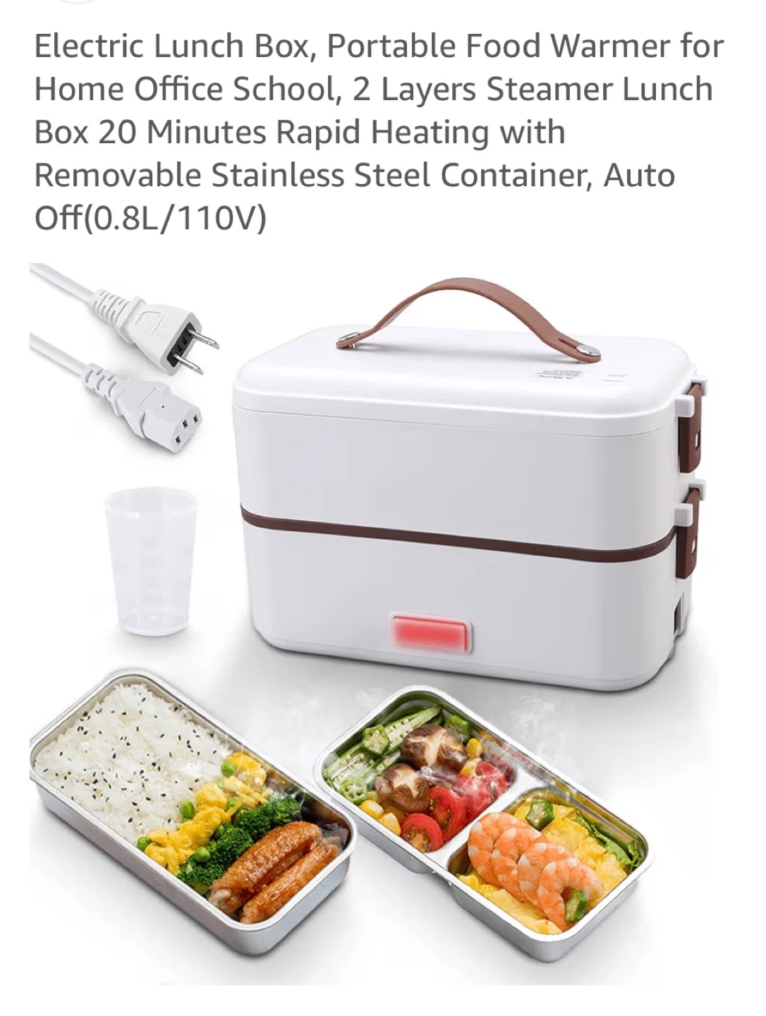300W 2-Layer Electric Lunch Box