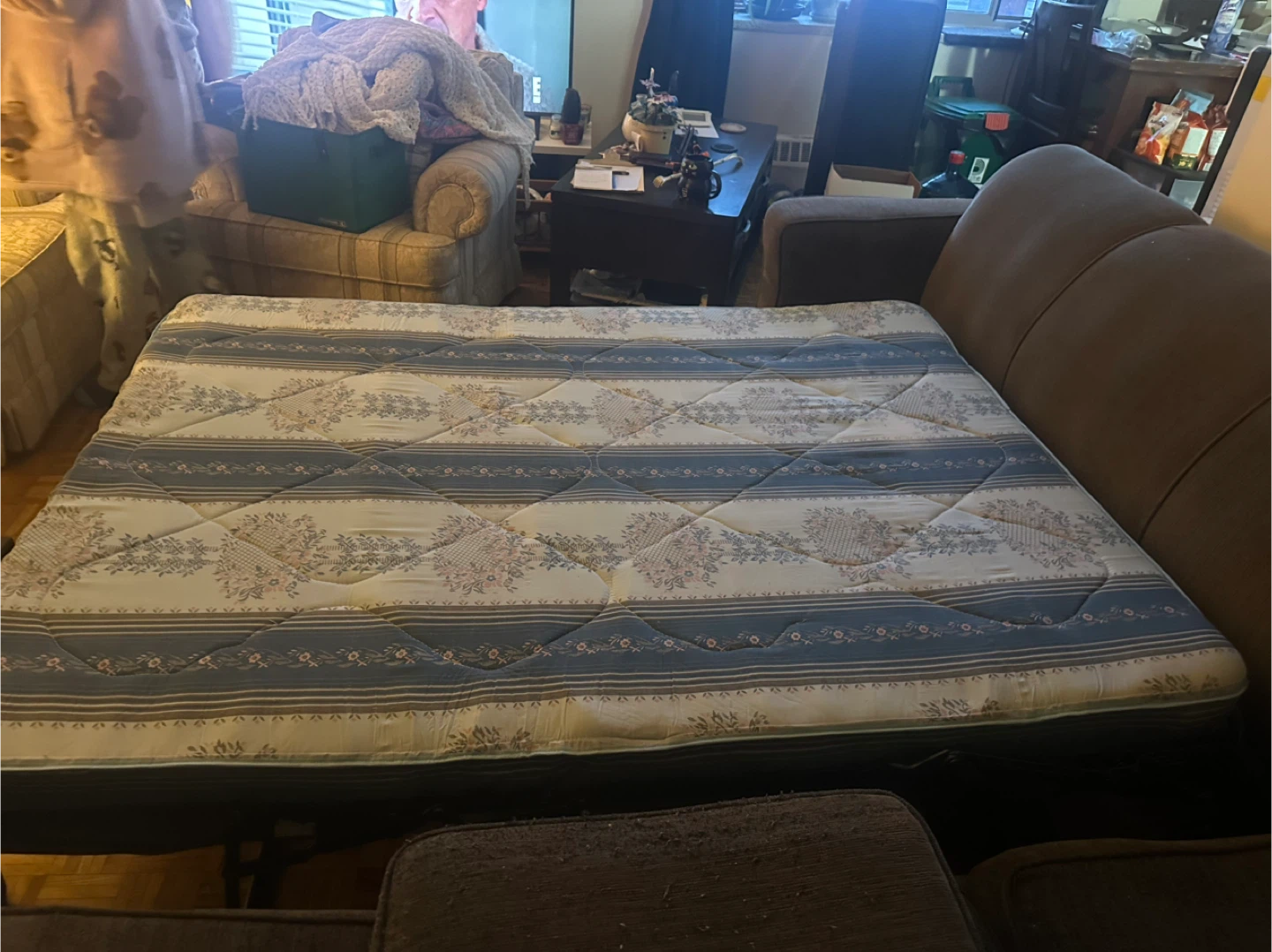 Grey Sectional Couch with Pull-Out Bed (Pending Pickup) - photo 3