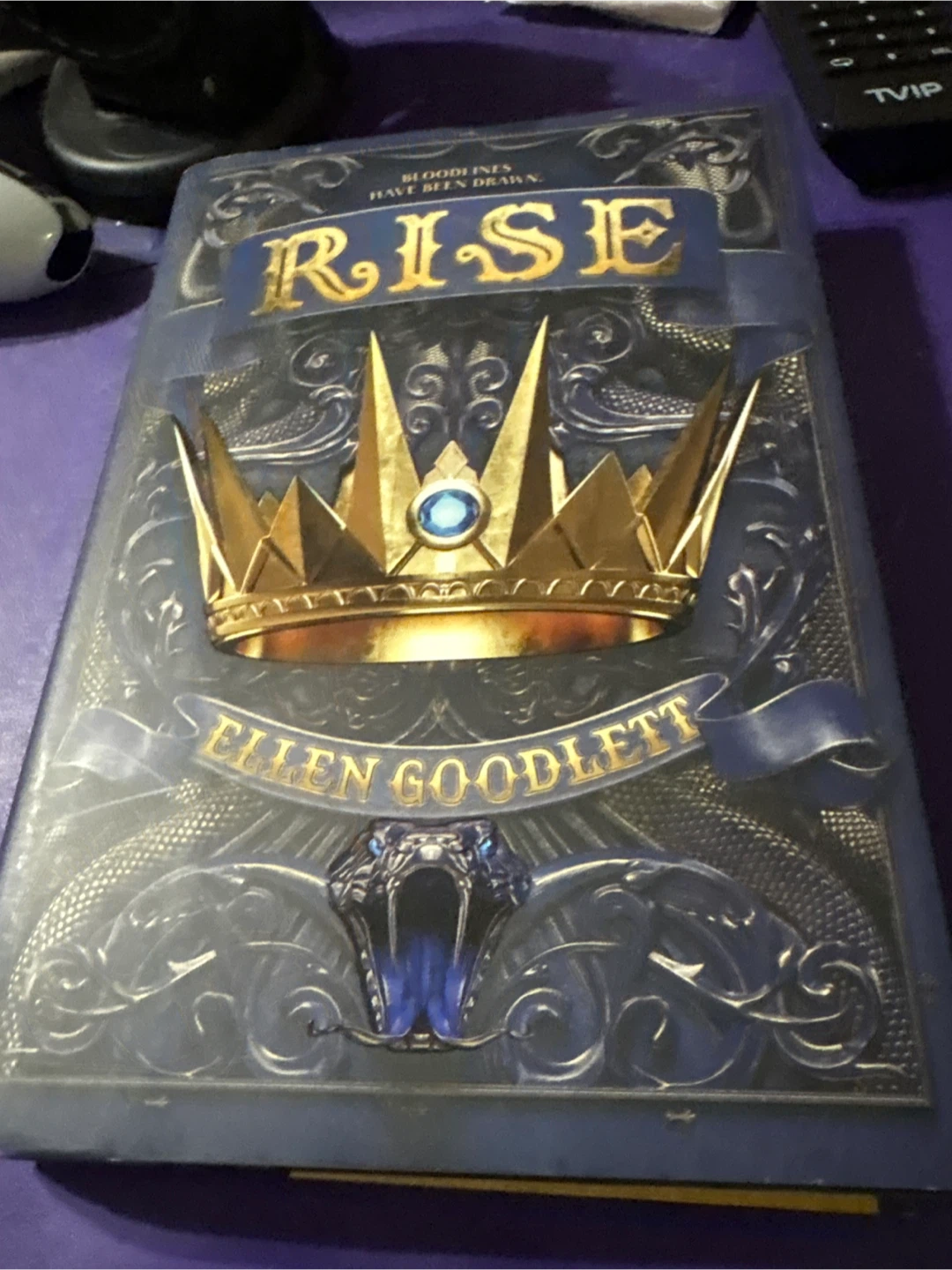 Rise by Ellen Goodlett Book