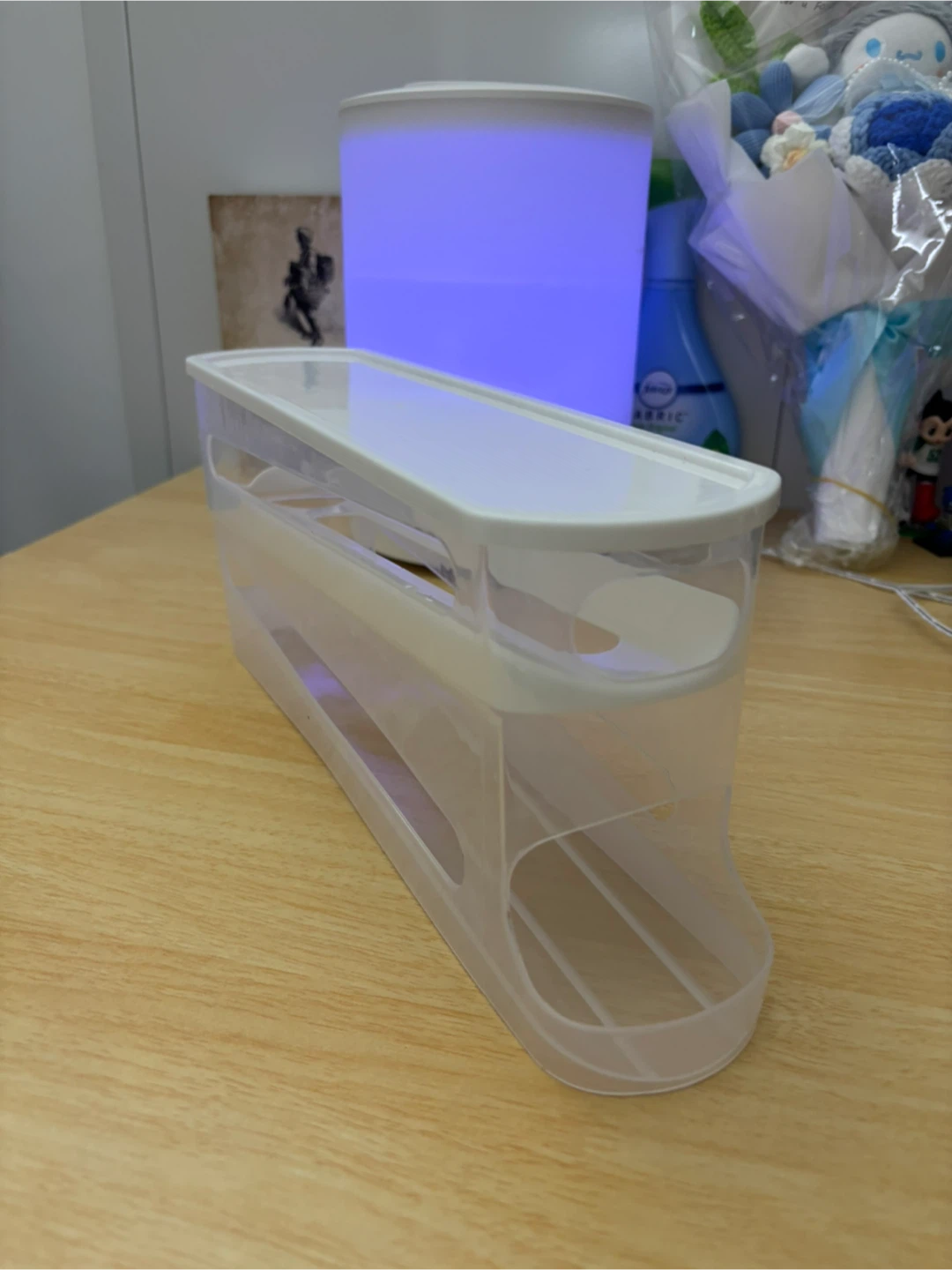 Clear Plastic Storage Container with Lid