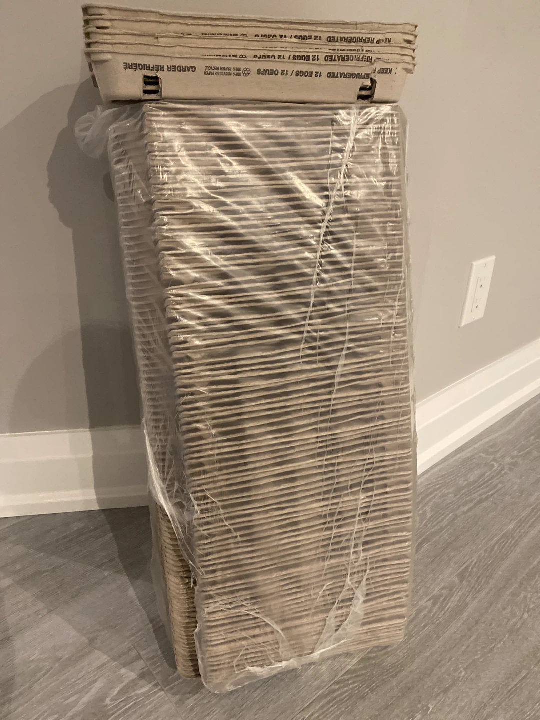 Bulk Egg Cartons - 12 Egg Capacity