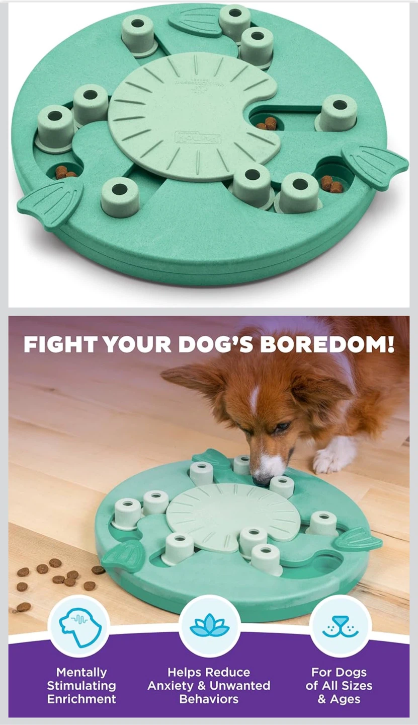2 Dog Treats Puzzles - Play Toys