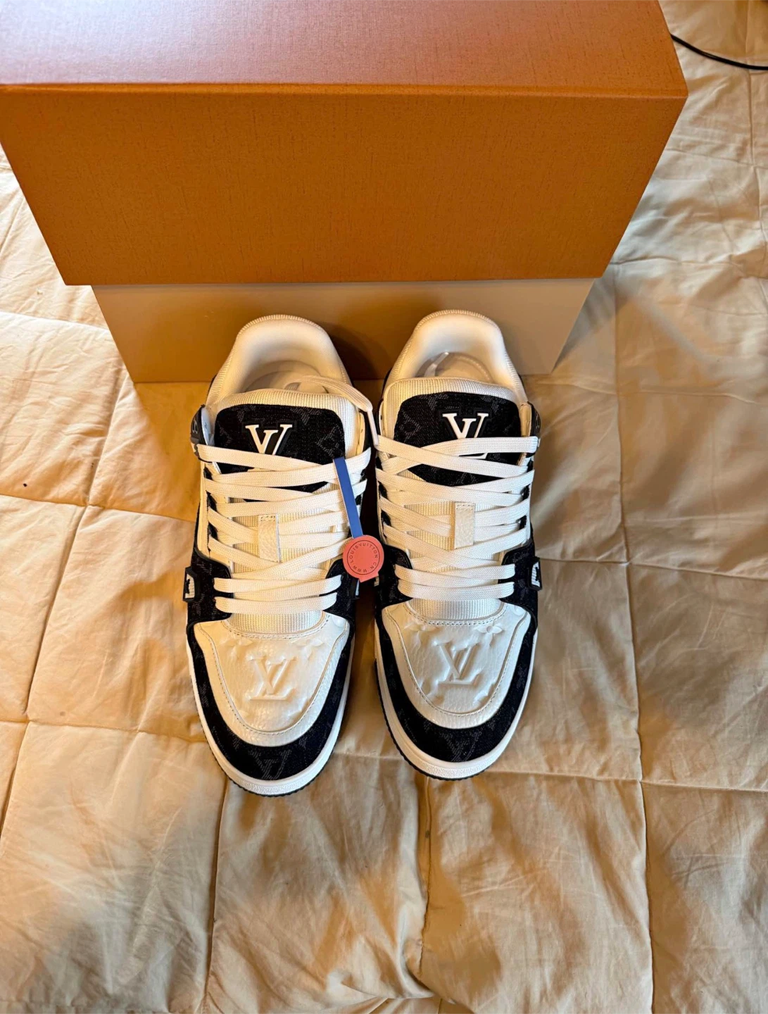 Louis Vuitton LV Trainer Sneakers